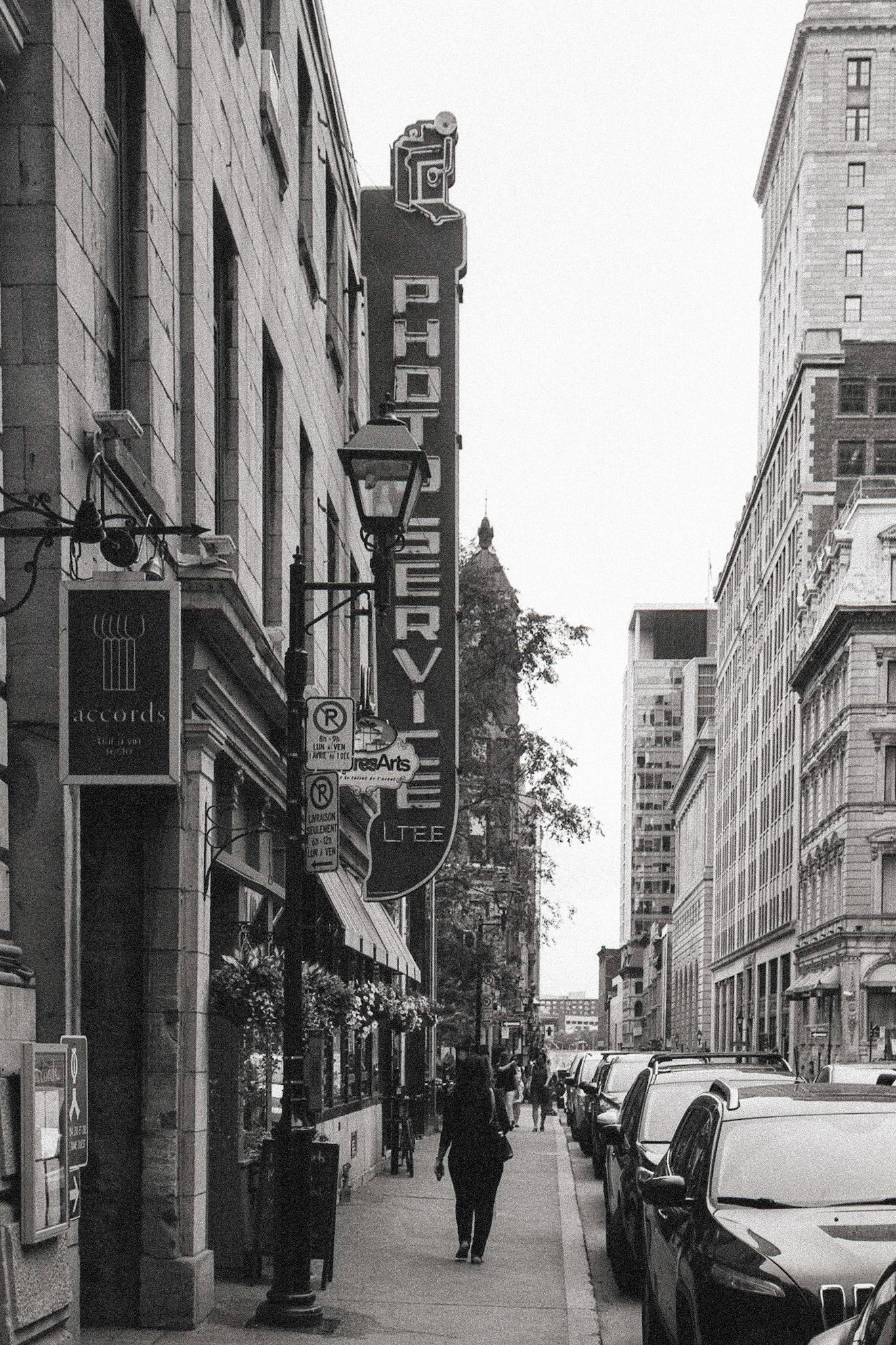 Photo Service On Notre-Dame