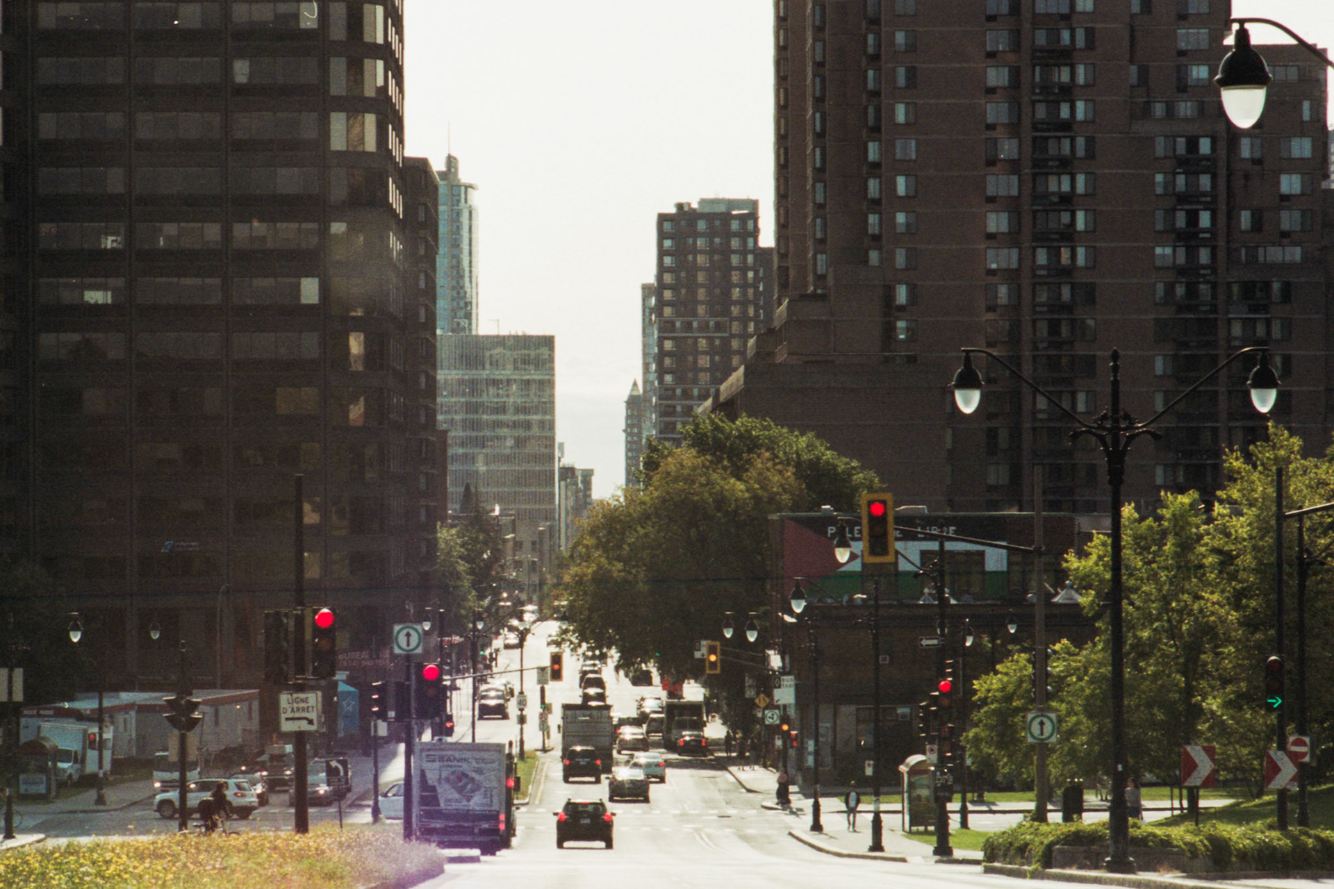 Negative Lab Pro v2.3.0 | Color Model: Basic | Pre-Sat: 1 | Tone Profile: LAB - Standard | WB: Auto-Neutral | LUT: Frontier