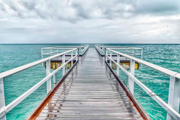 Aqua Dreams, Scarness