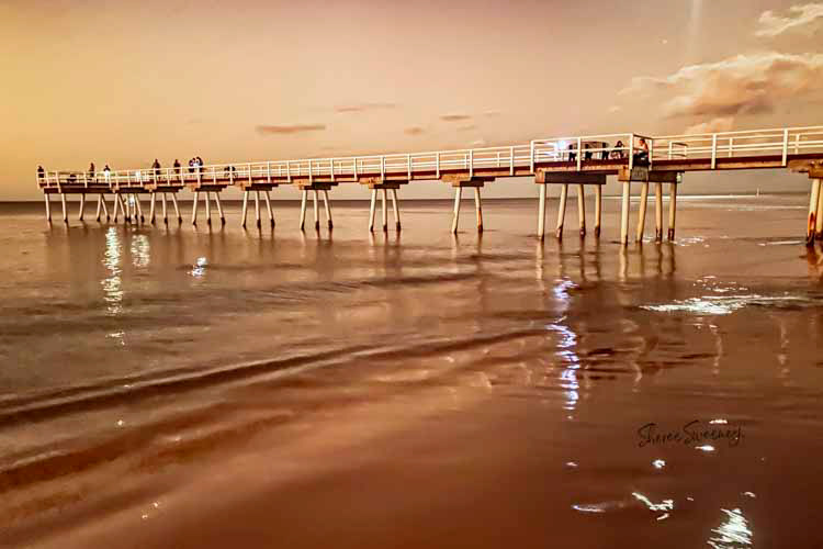 Gathering at Dusk, Torquay 