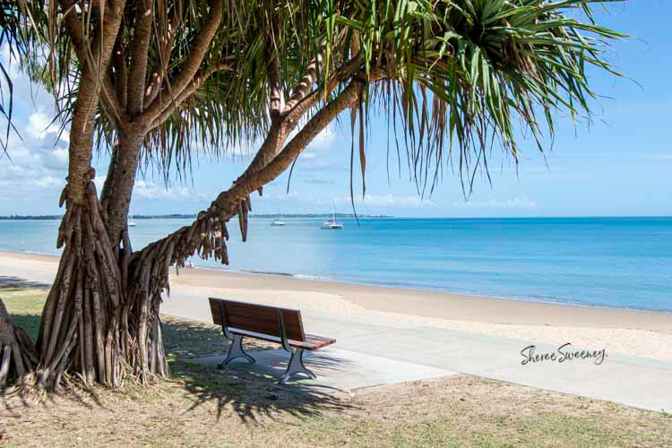 Pandanus View, Torquay
