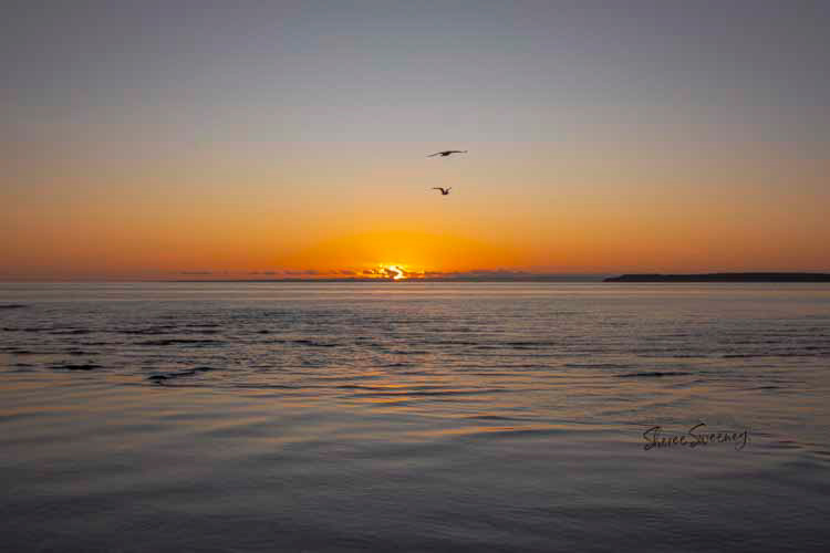Flight at Sunrise, Urangan 