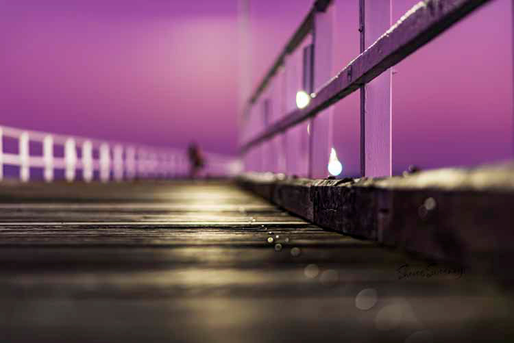 Pier in Purple, Urangan