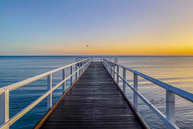 Bird at Sunrise, Scarness