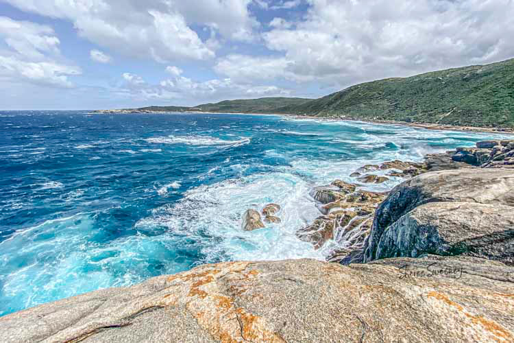 The Blow Holes, Albany