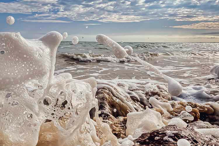 Wave Fizz 01, Scarness