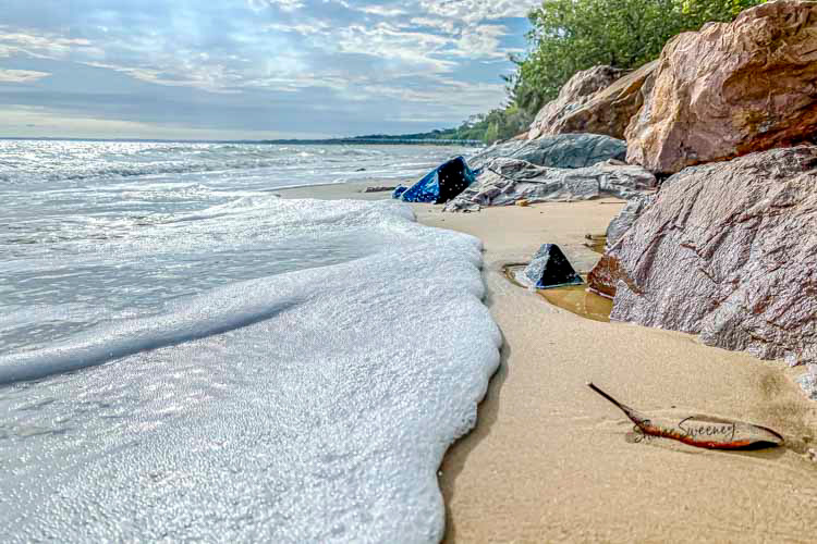 Leaf, Scarness Beach