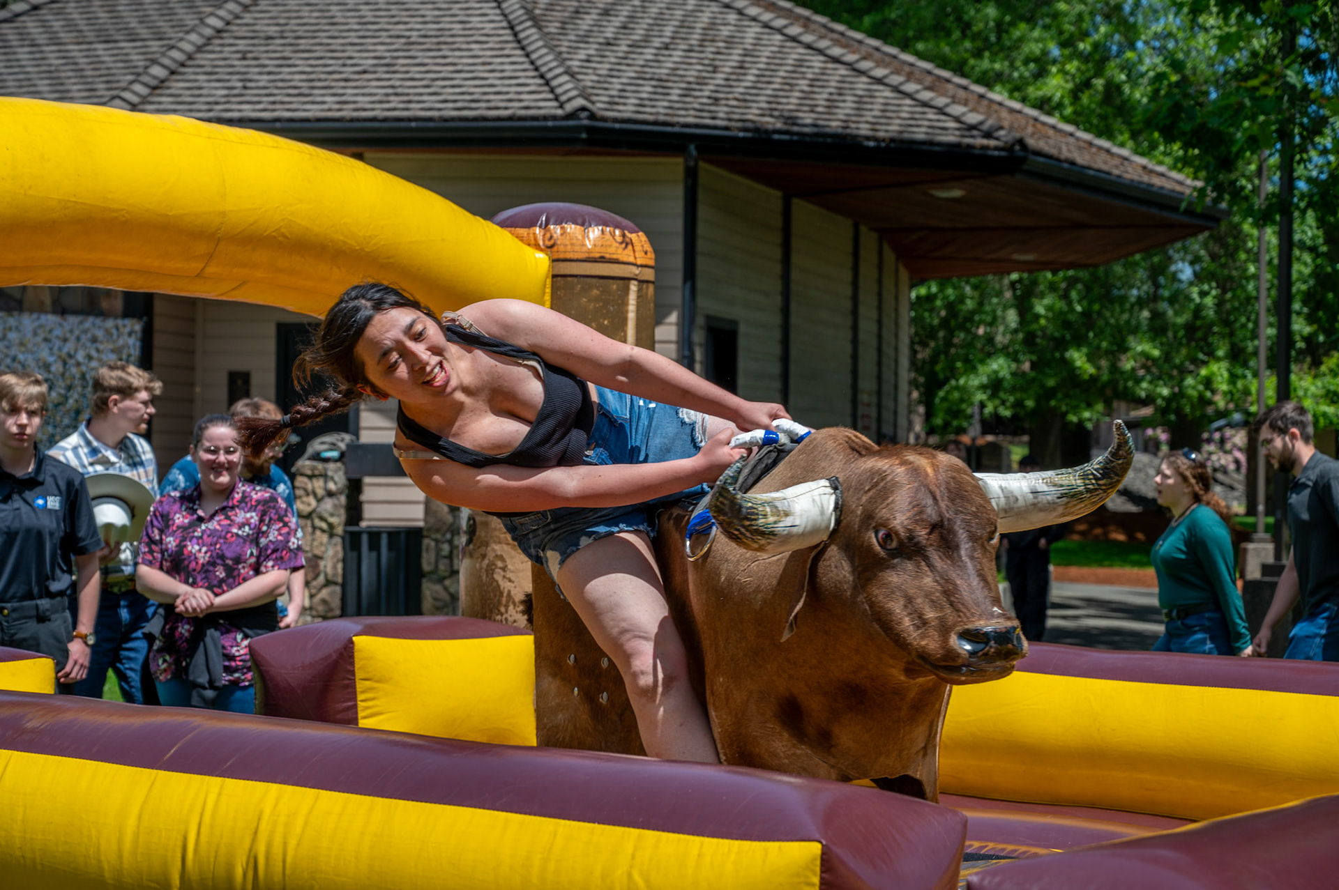 To ride the bull, however, you had to sign two waivers.