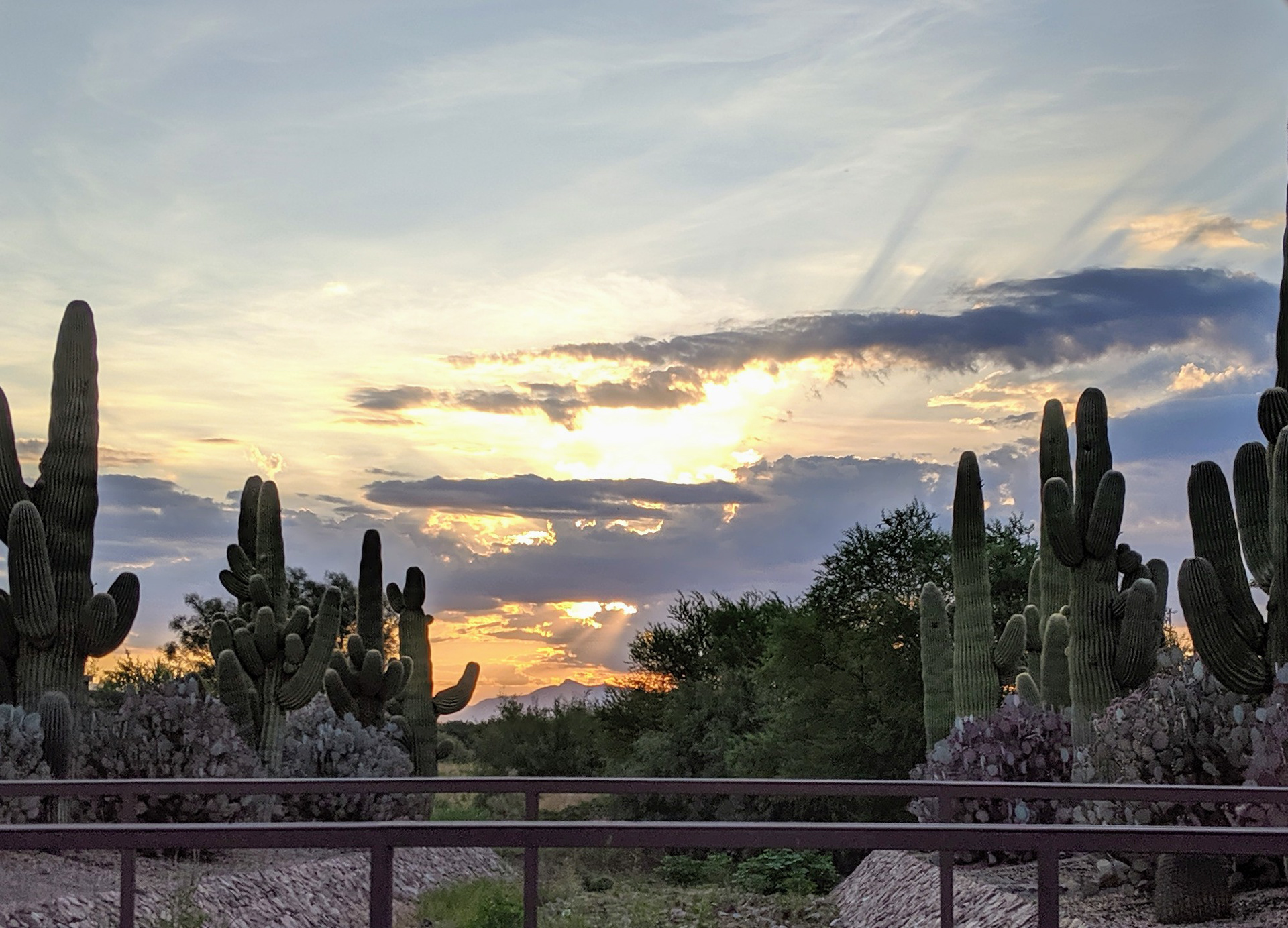 Sahuarita Sunrise