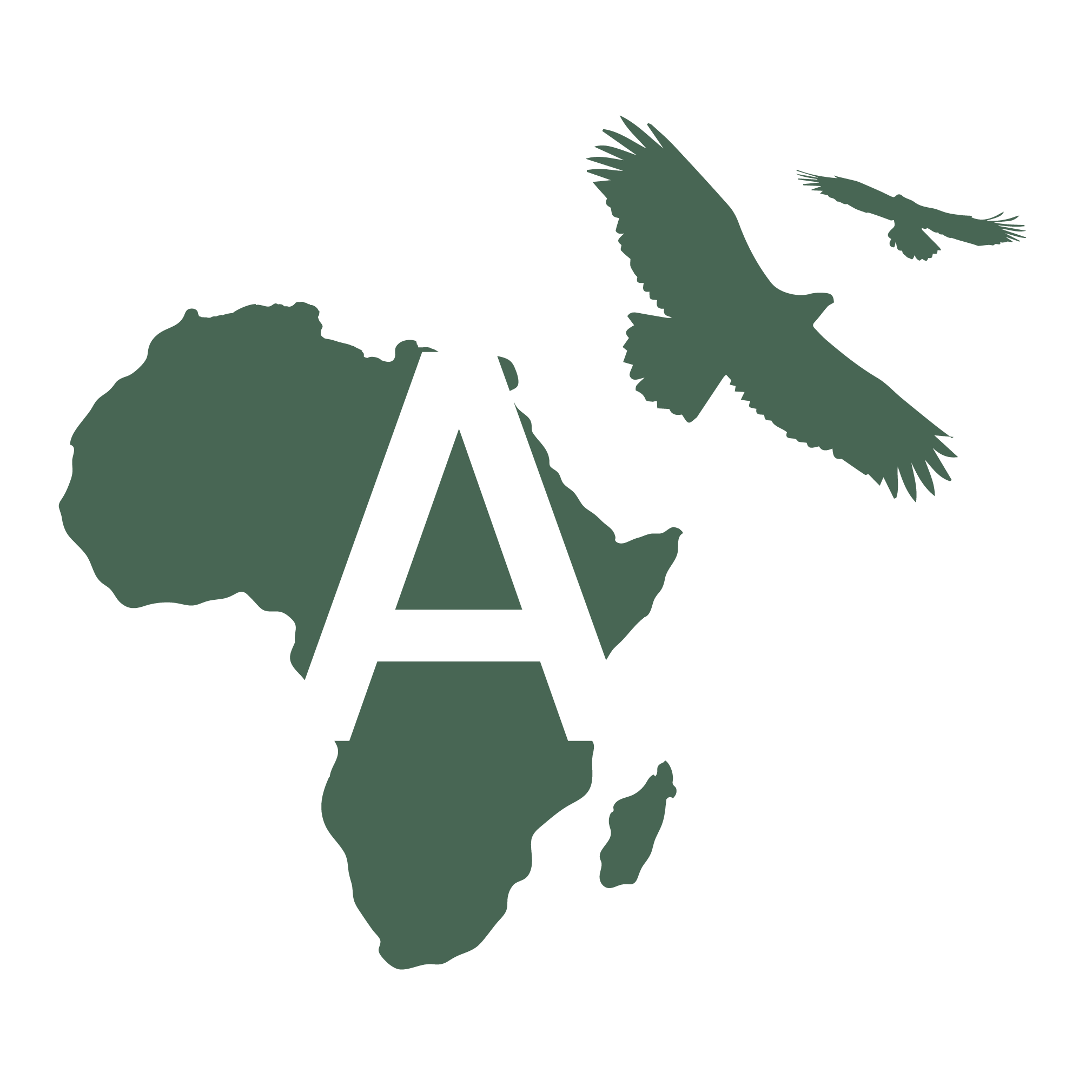 African Eagle Projects