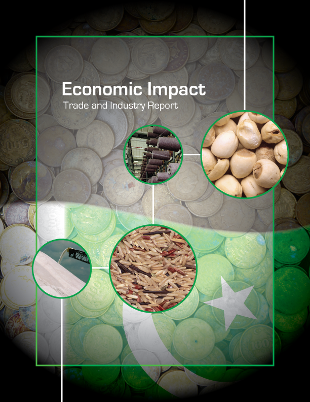 Intelligence report cover sample