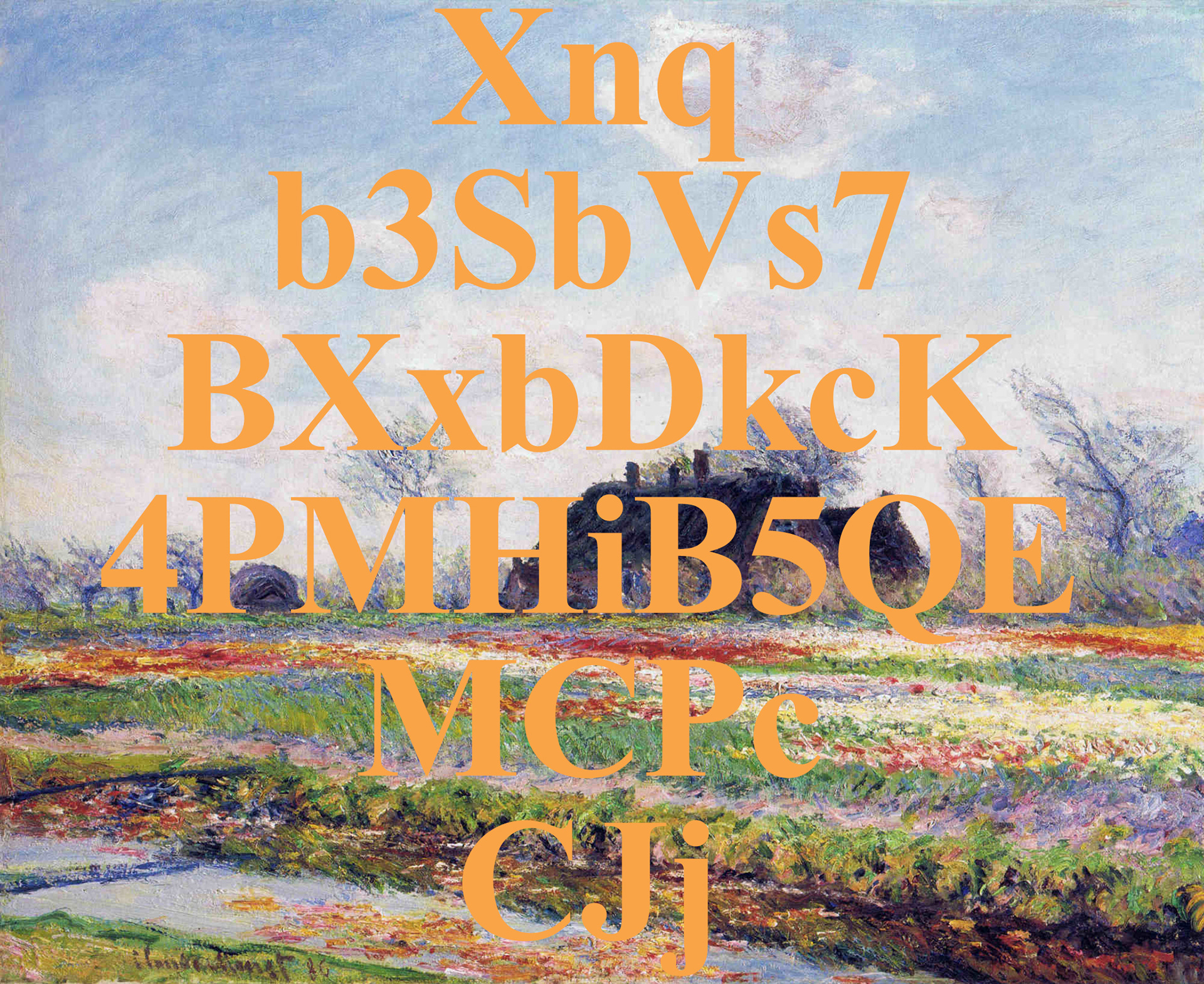 My Wallet of Dash in Coinex(Monet Orange Yellow), Acrylic on printed canvas,  60.6 x 72.7 cm, 2018