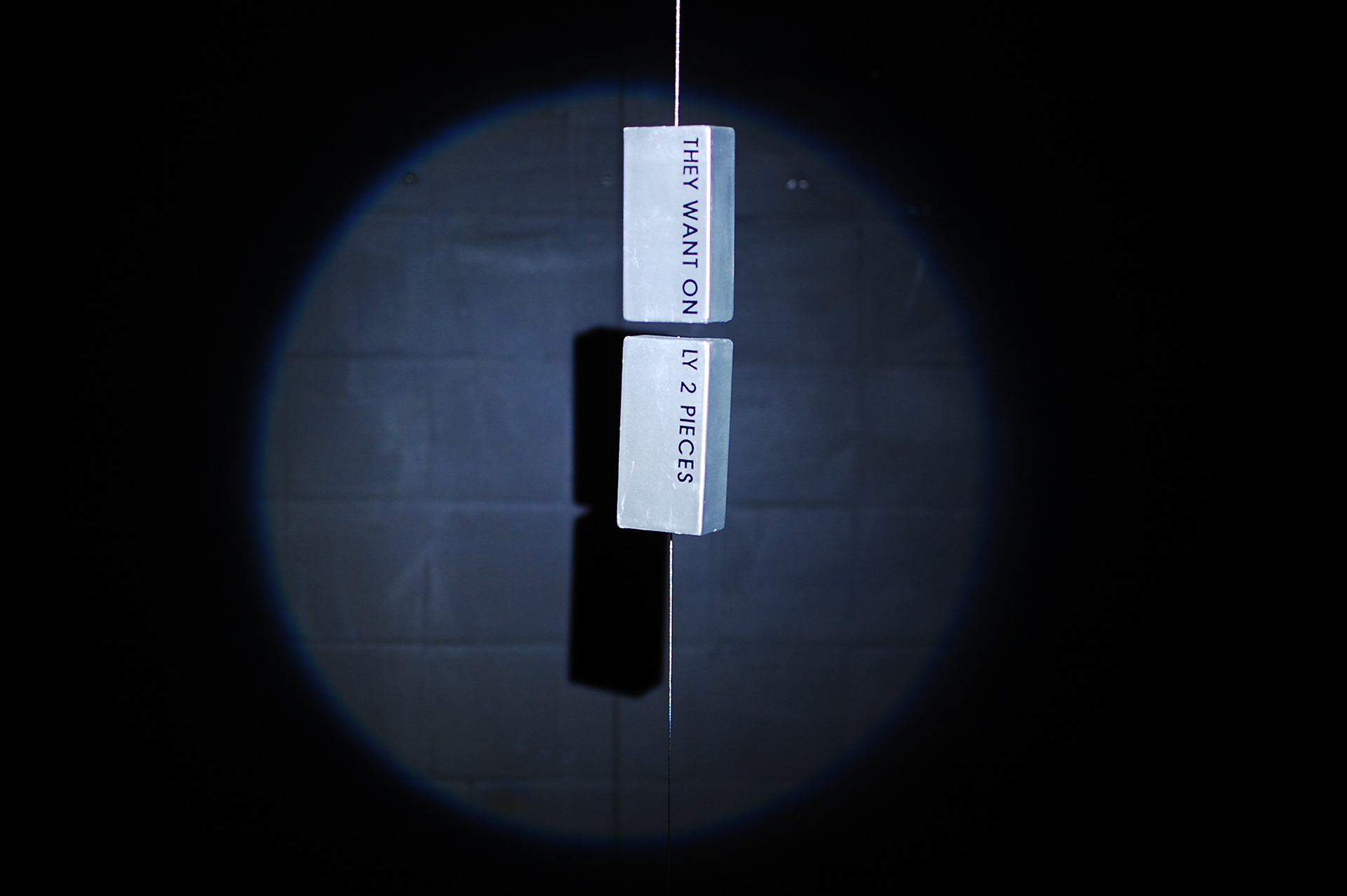 They Want Only 2 Pieces, Instalation View, Made in Korea: Evangelion, @Rainbocube Gallery, Seoul, South Korea, 2015