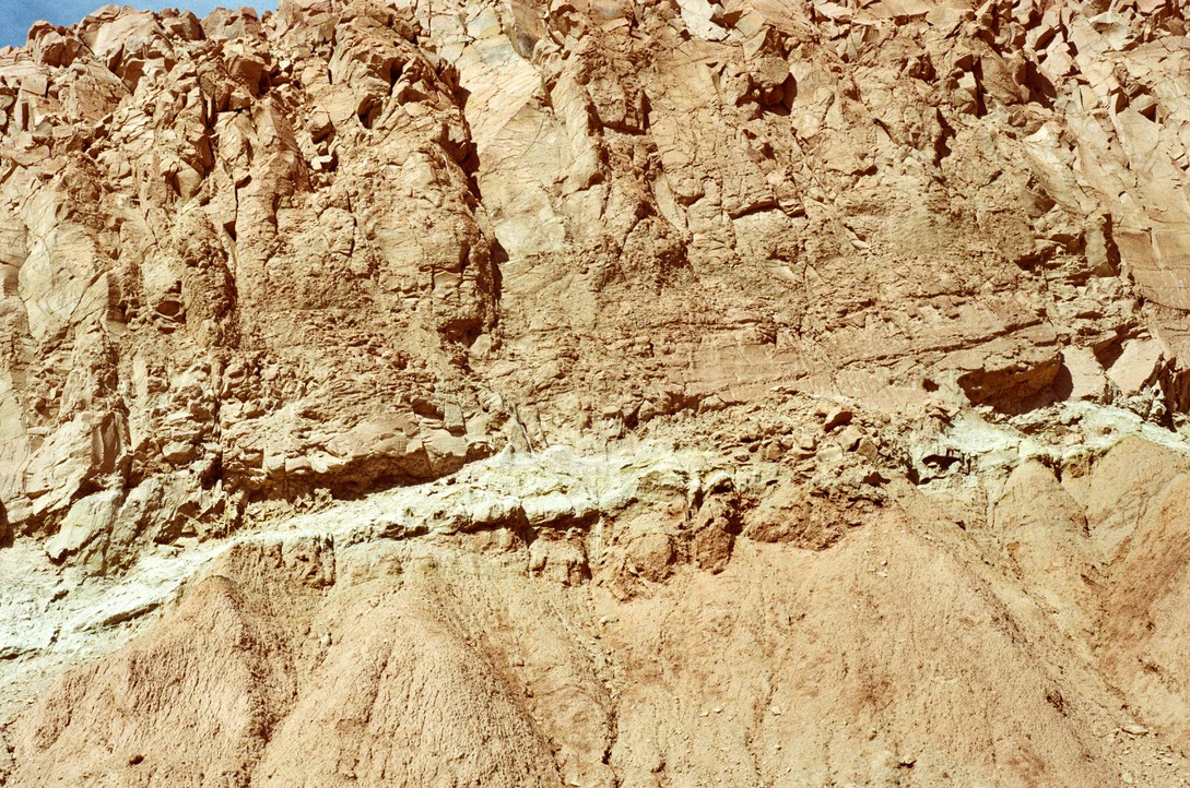 Catarpe, San Pedro de Atacama