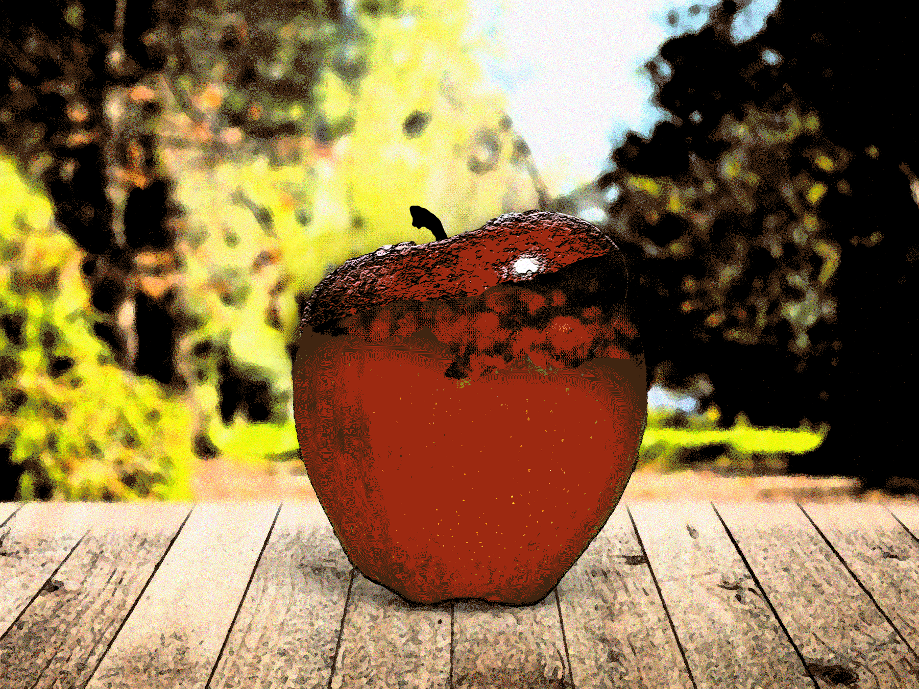 Happy Fall, 1800 x 1350, Personal Project, an apple gif to celebrate the introduction of Fall