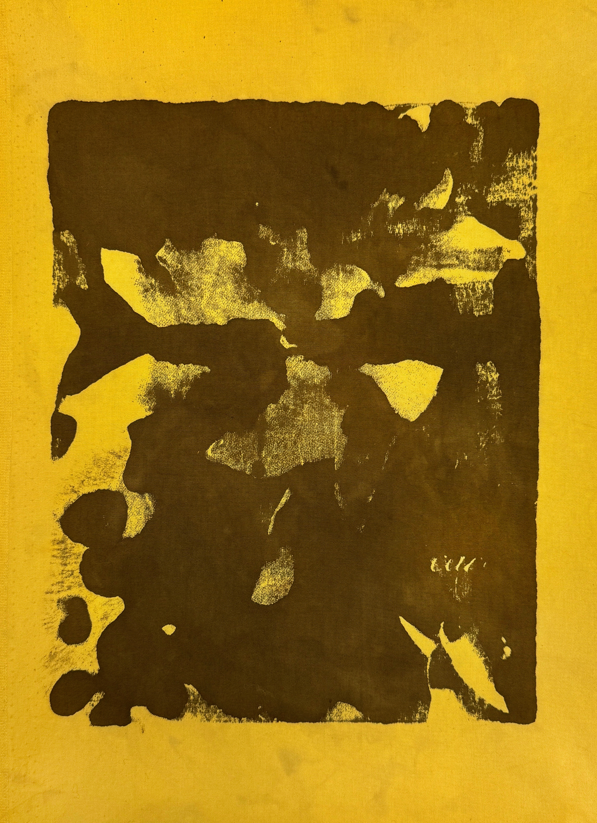 Buckthorn Natural Dye with Iron Mordant Screen Print, 2024