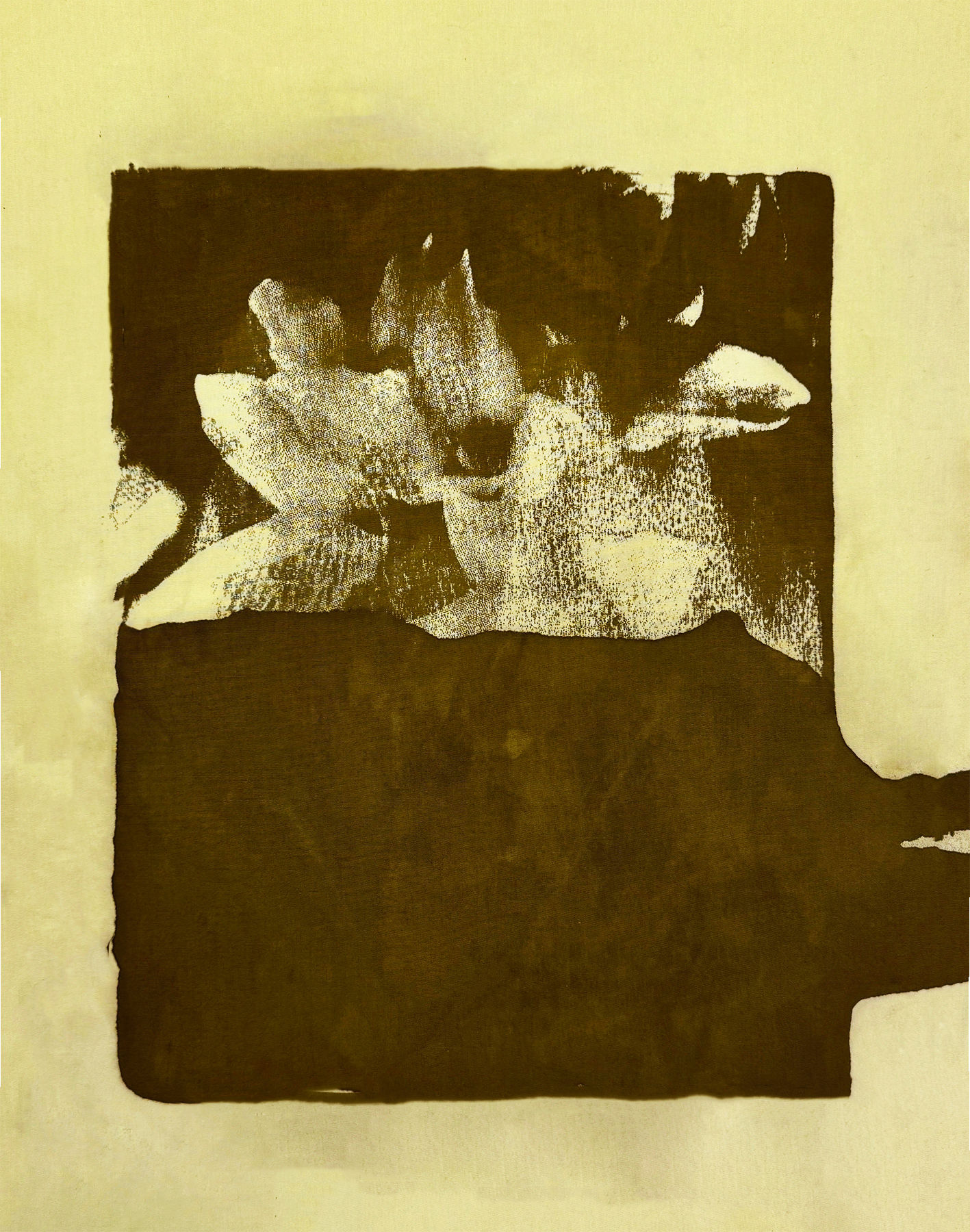Weld Natural Dye with Iron Mordant Screen Print, 2024