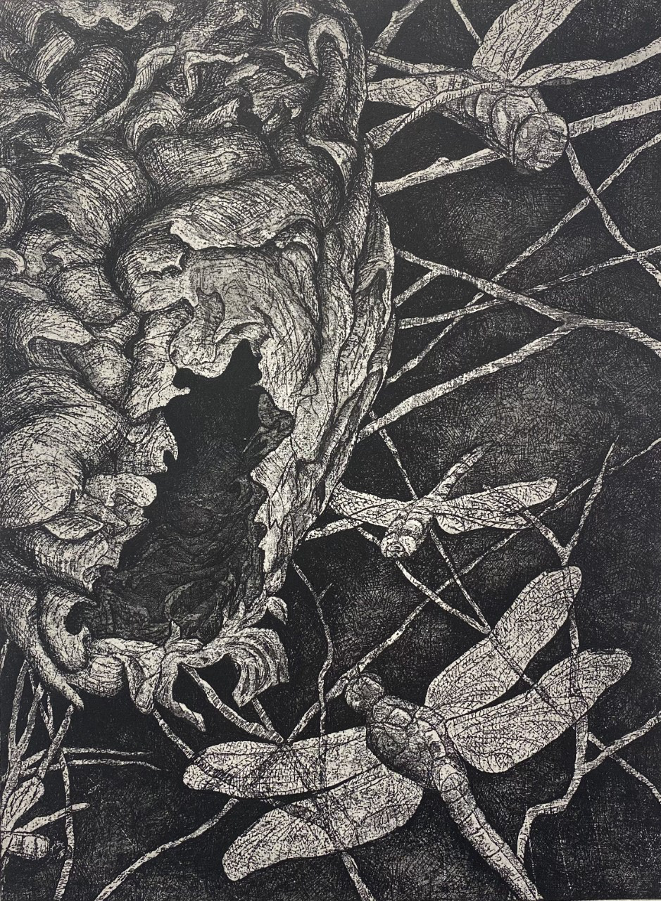 Surrounded, Etching, 24x18, 2019