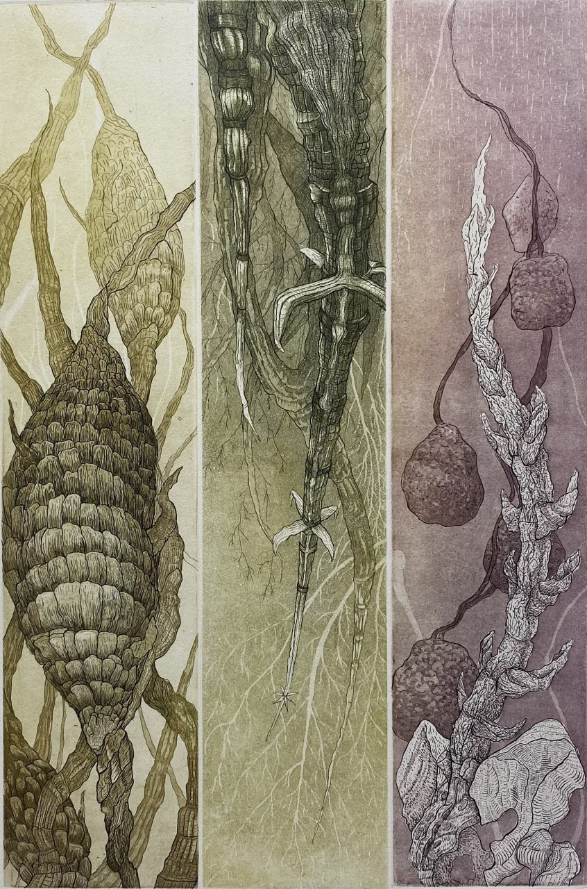 Beginning to Grow Again, Intaglio, 18x12, 2022