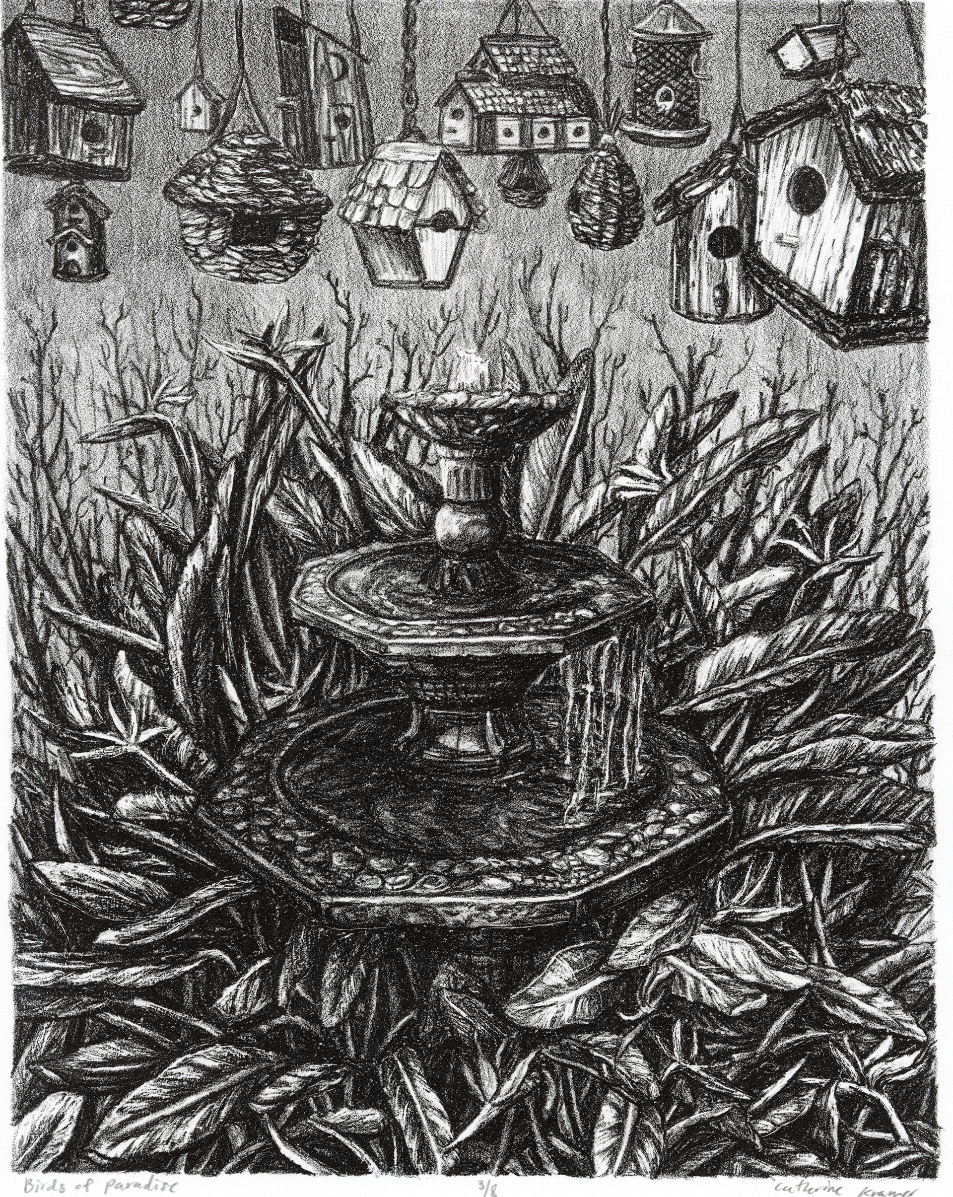 Birds of Paradise, Lithograph, 14x11, 2021