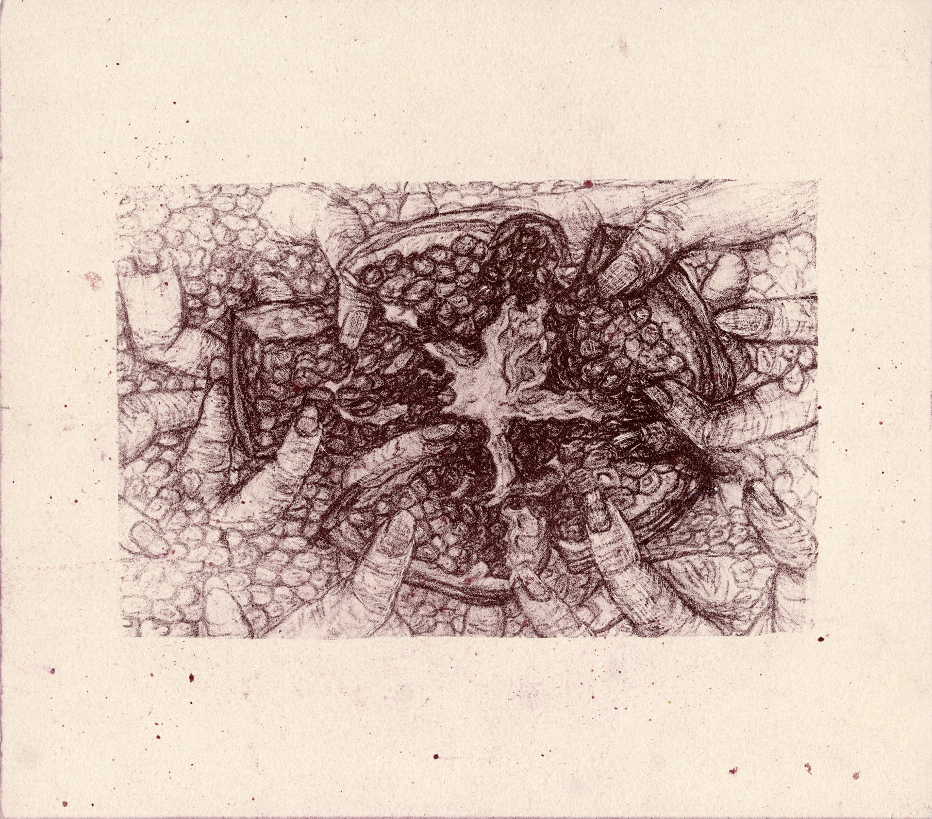 Pulled Apart, Lithograph, 5x7, 2021