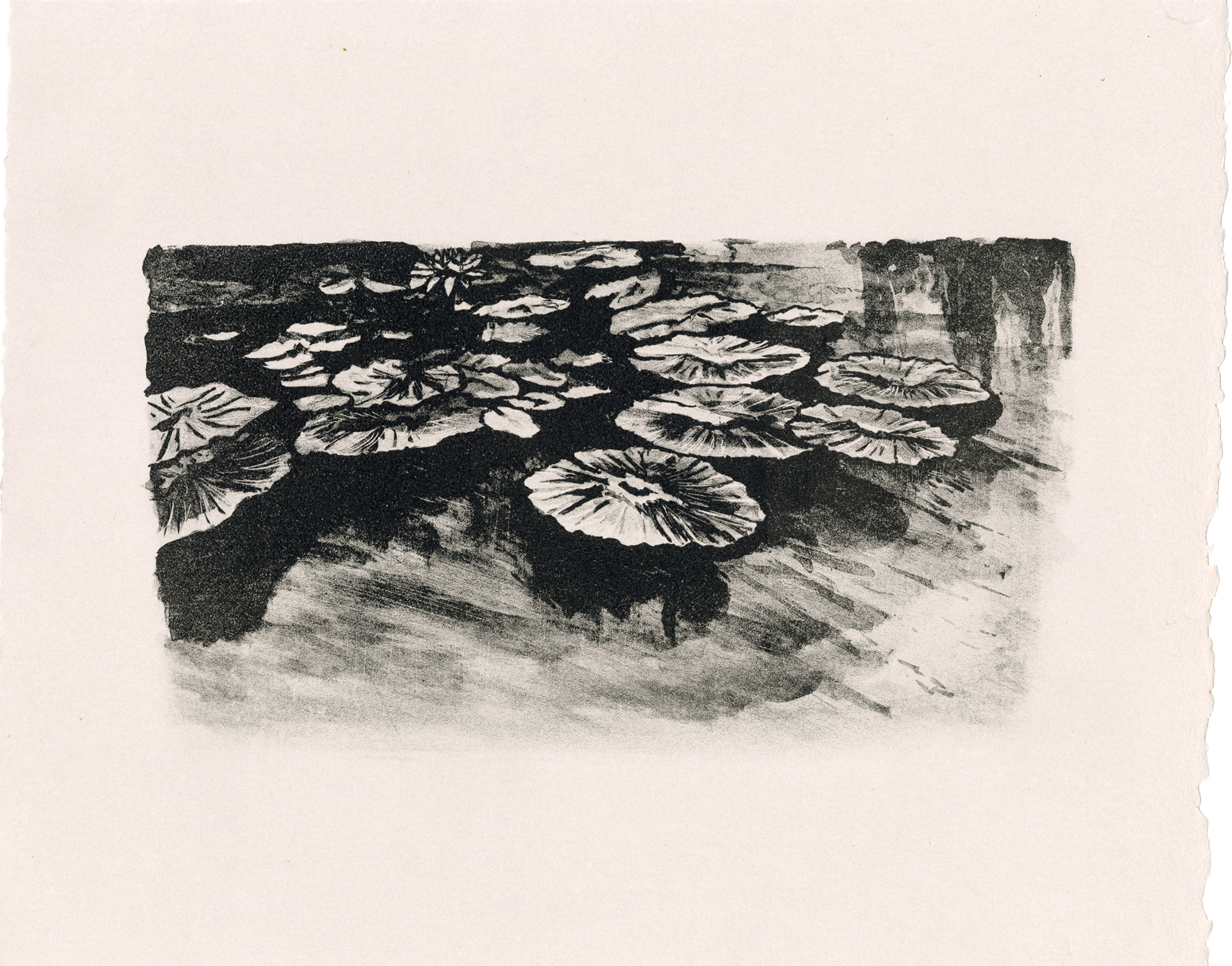 Pond II, Lithograph, 5x8, 2021