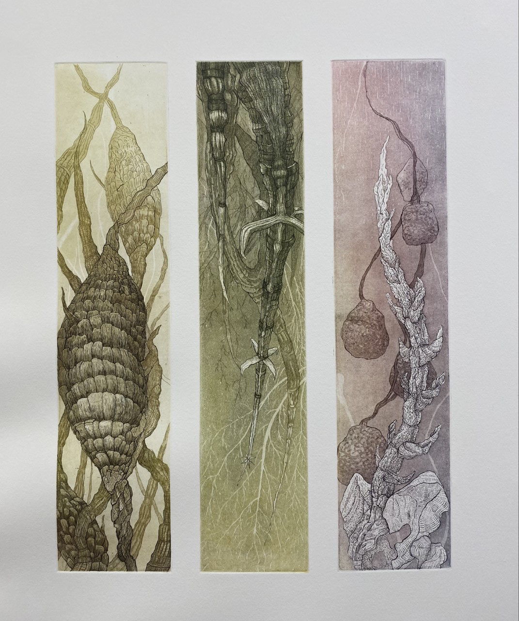 Beginning to Grow Again, Etching, 18x14, 2022