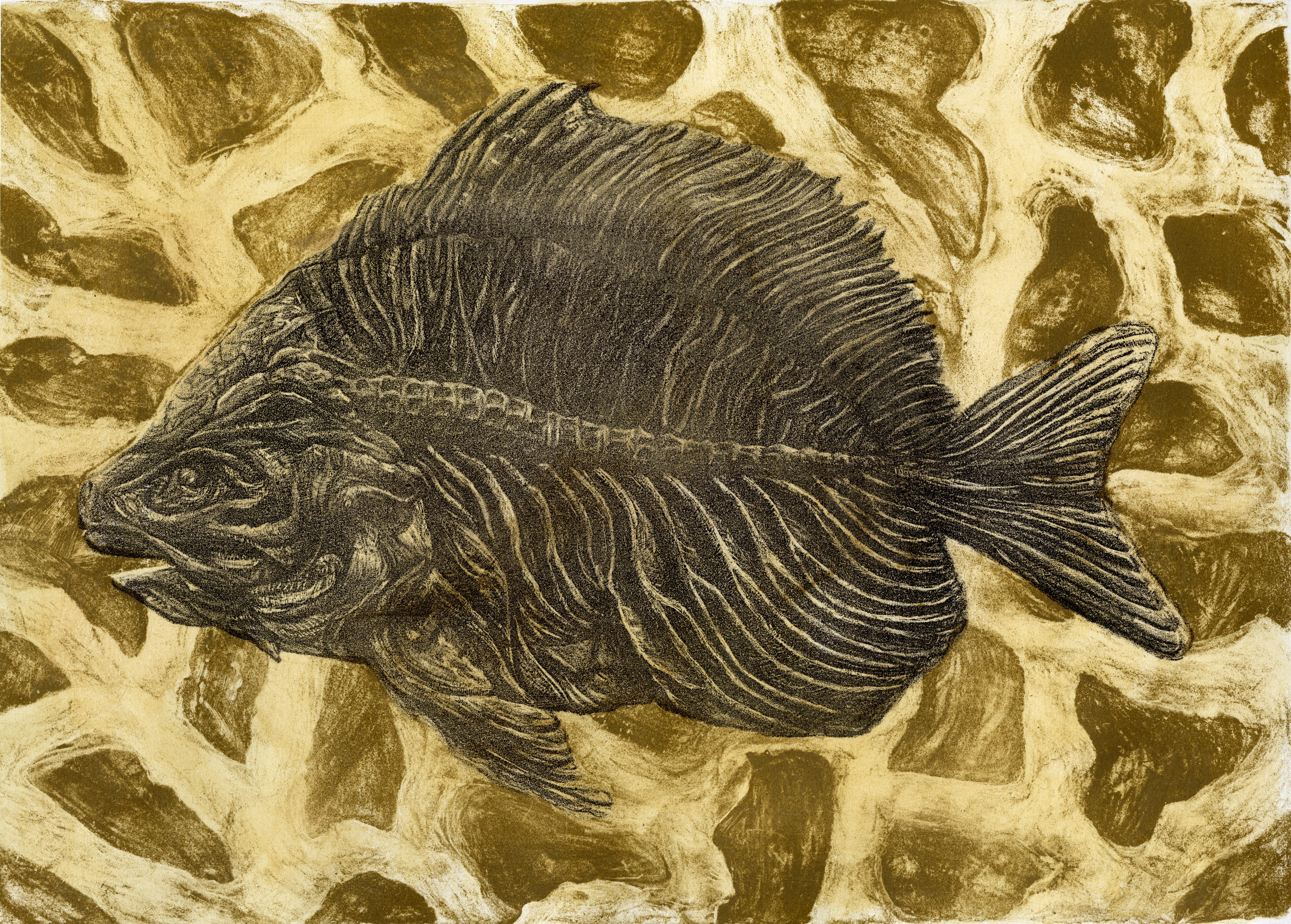 Fossilized, Lithograph and Photo Litho, 12x14, 2021