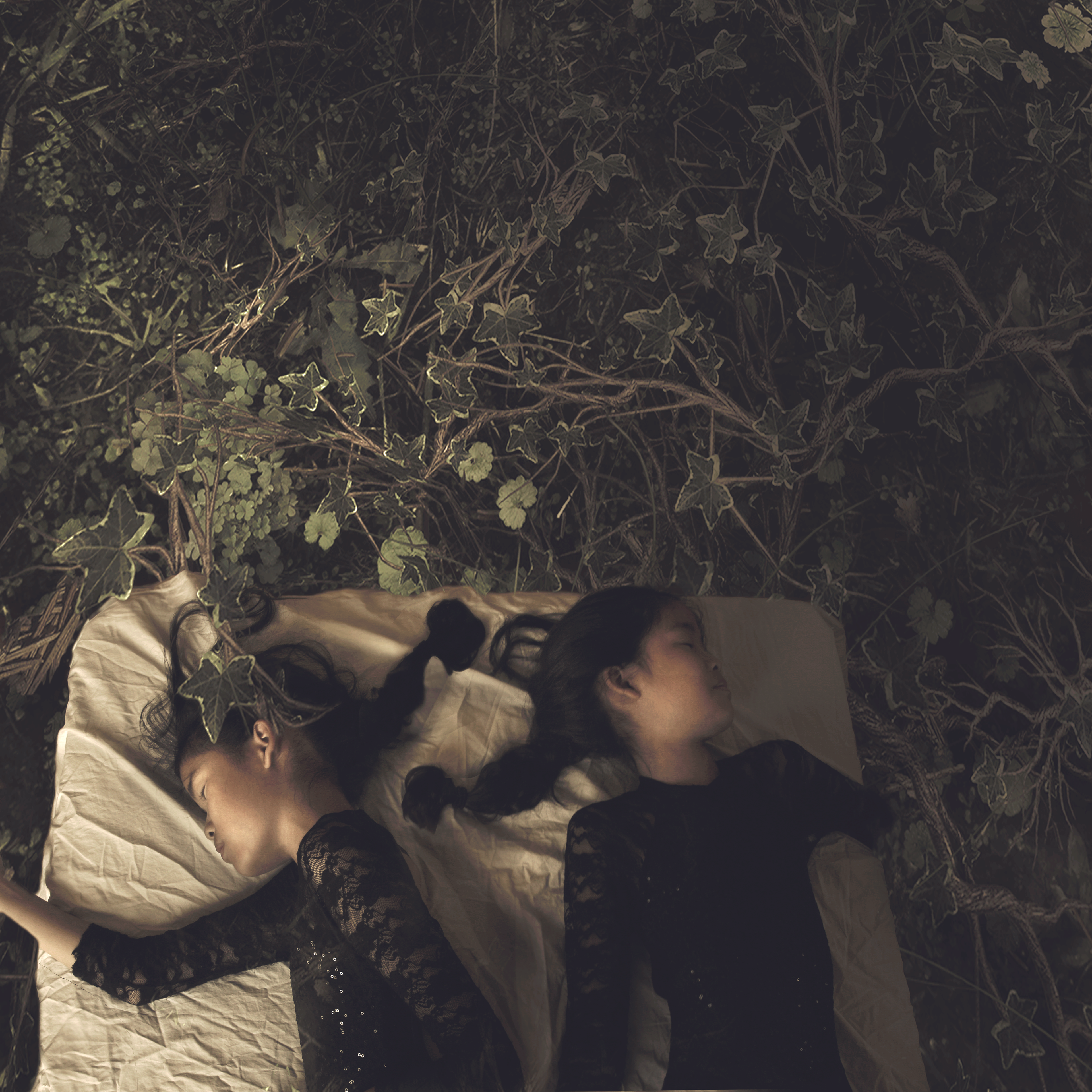 Sleeping Beasts (2016)