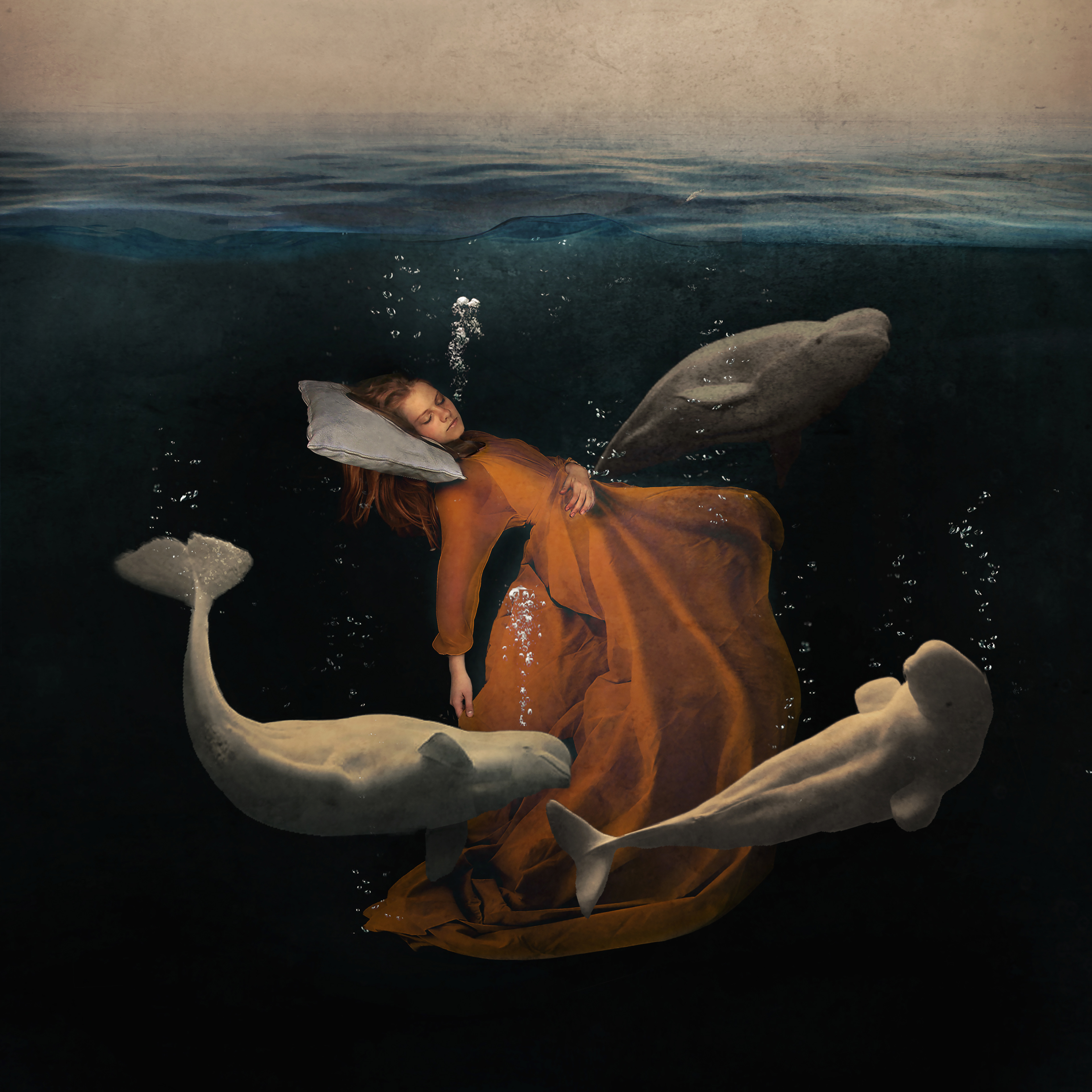 Arctic Berceuse (2019)