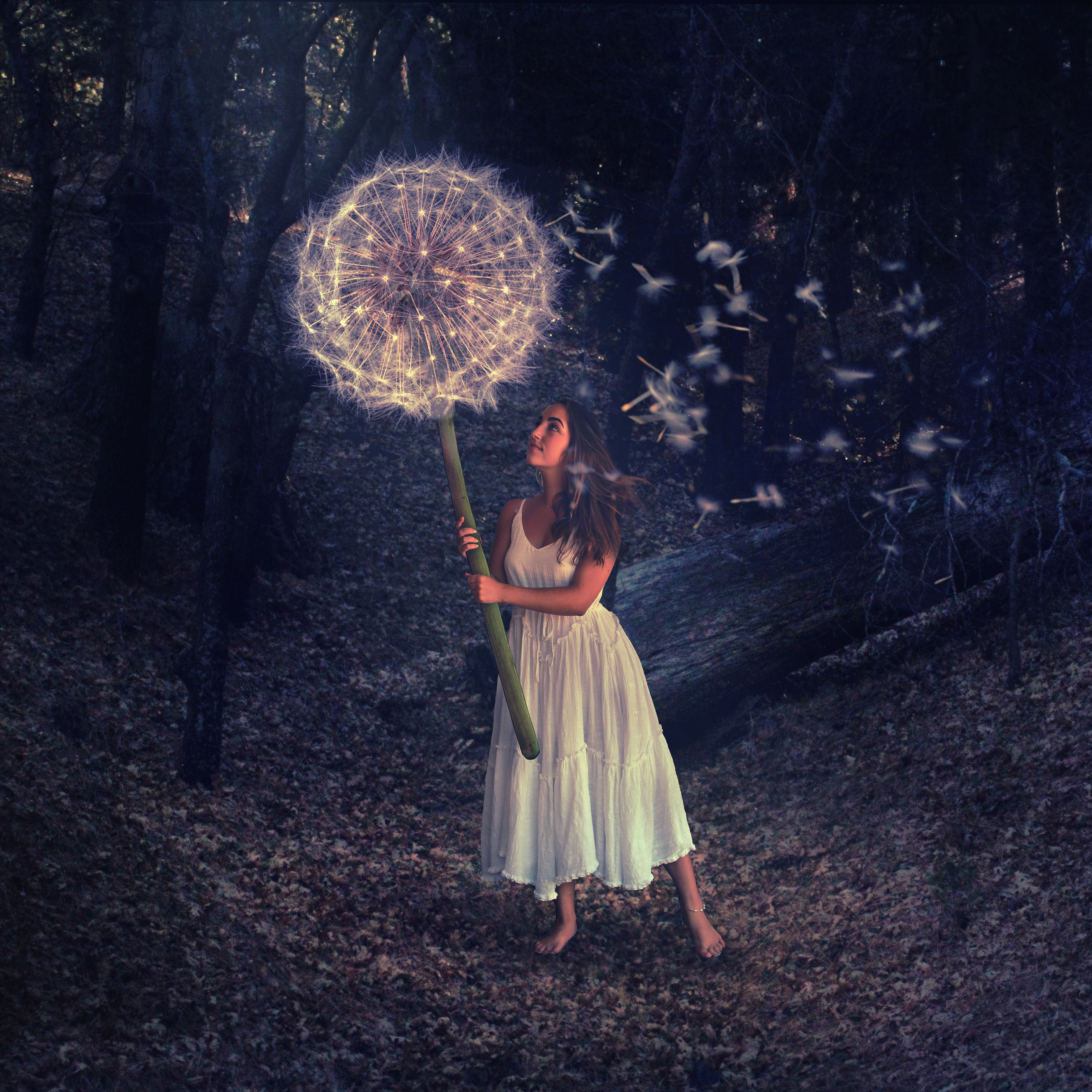 The Wish (2019)