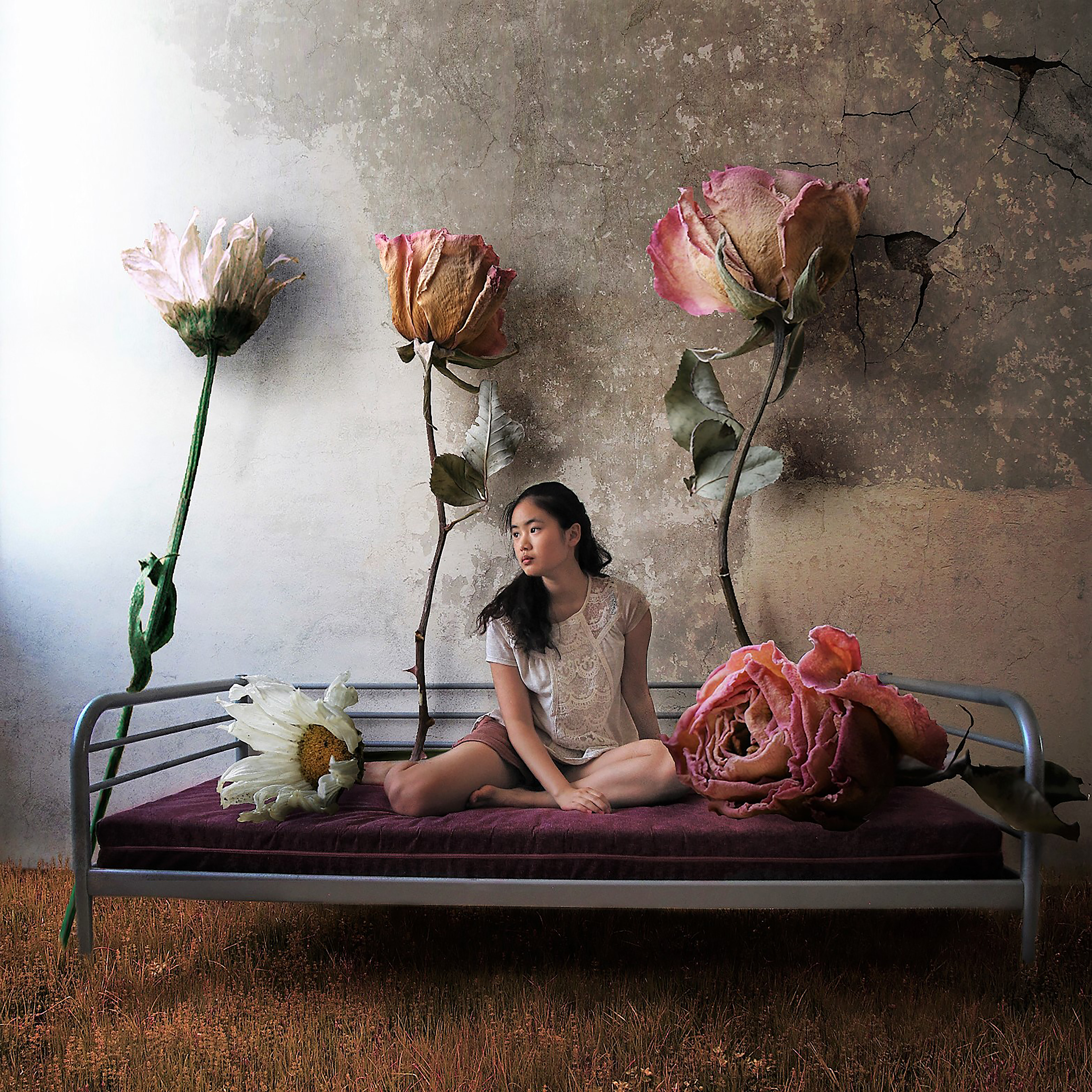 The Wilted Room (2017)