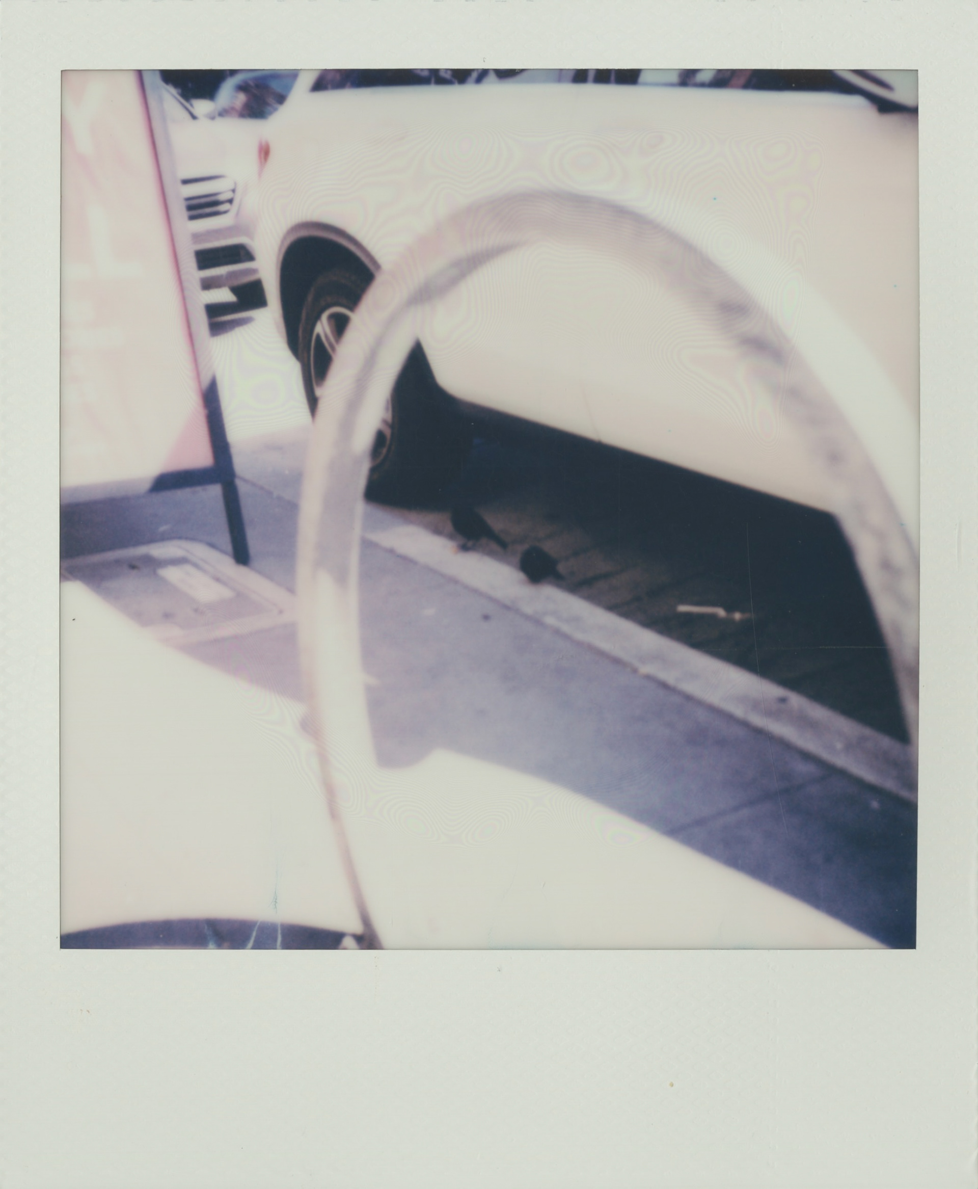 photo by: tea misevska