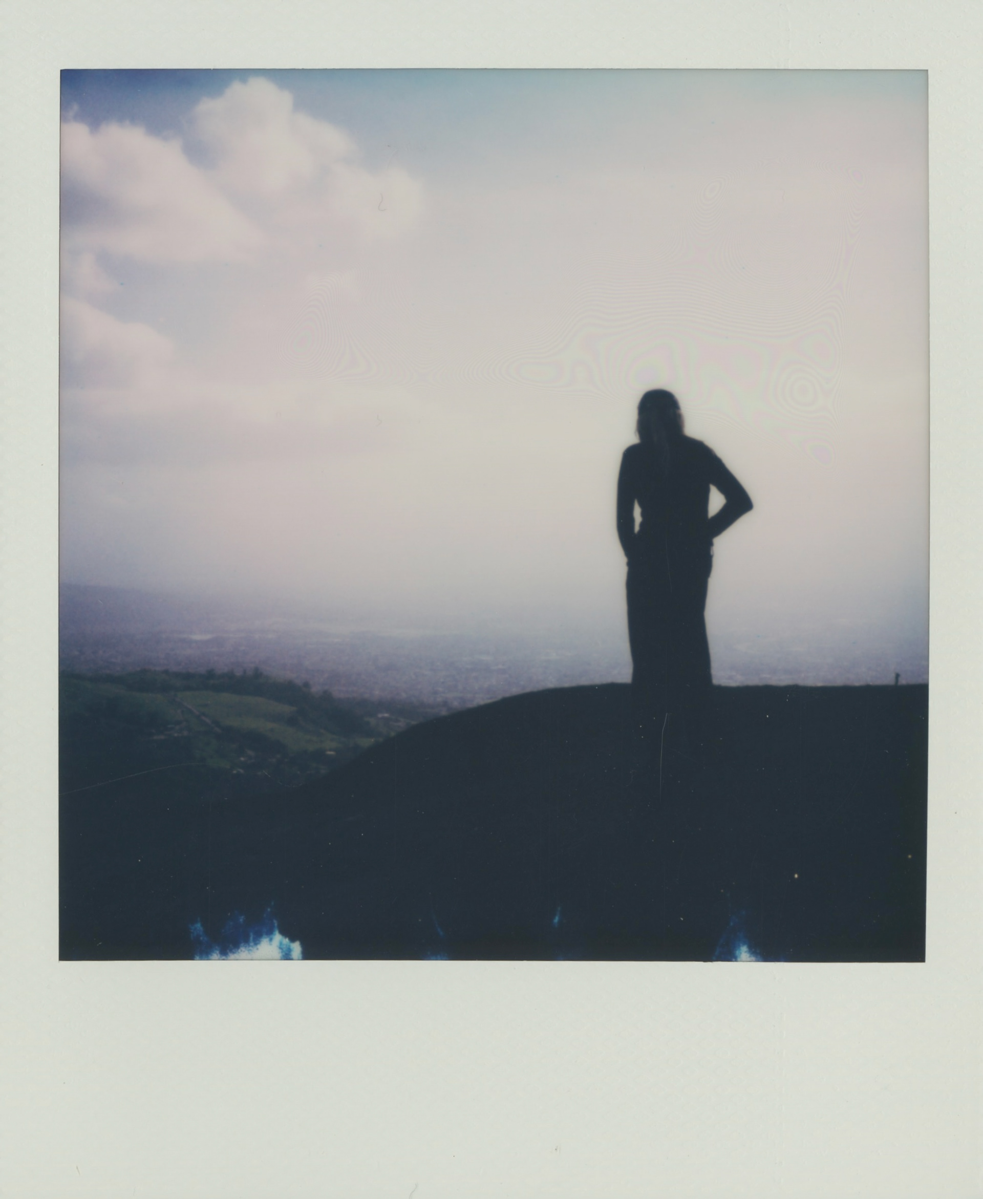cat looking over the bay area hills