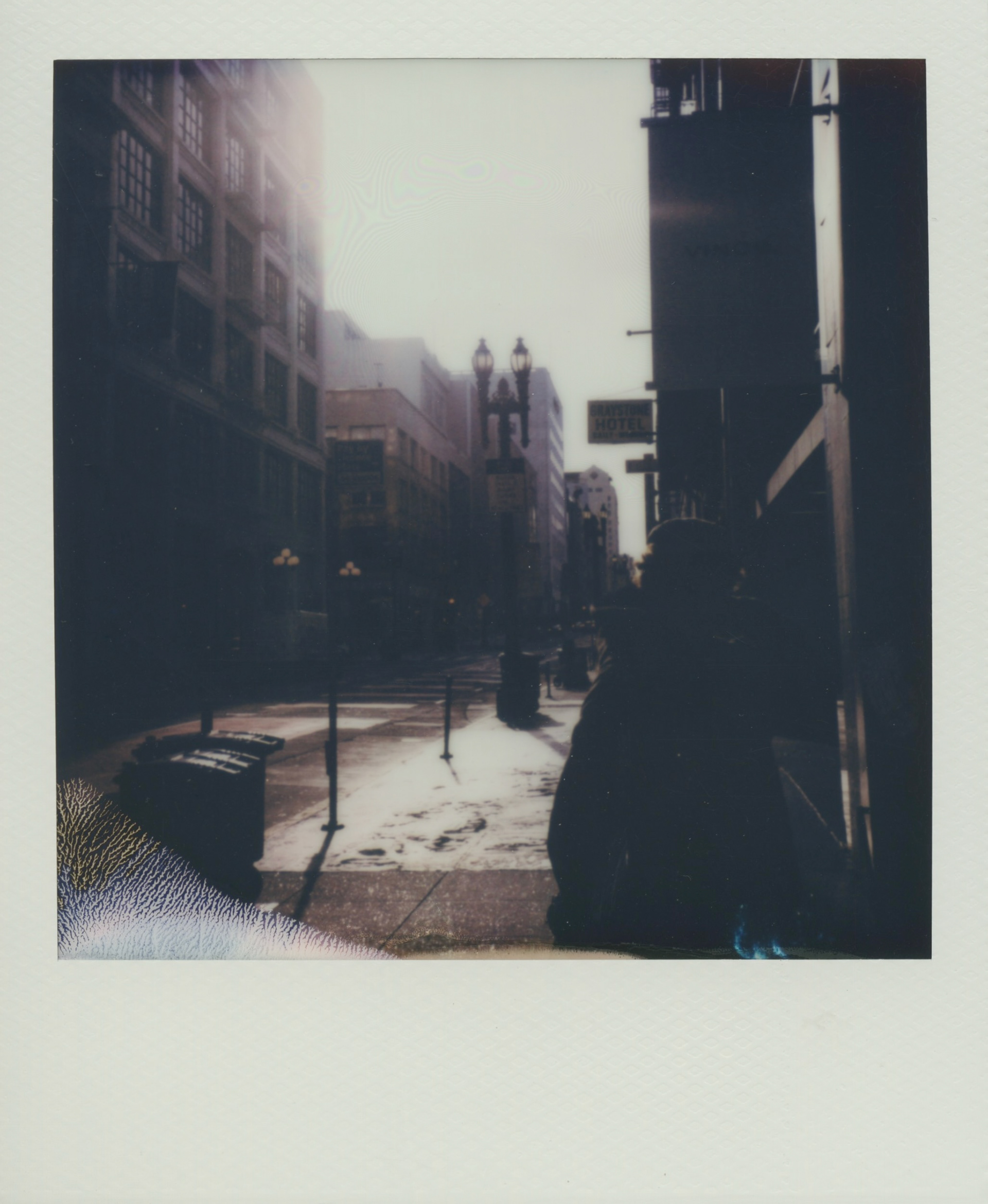 photo by tea misevska. she is so good