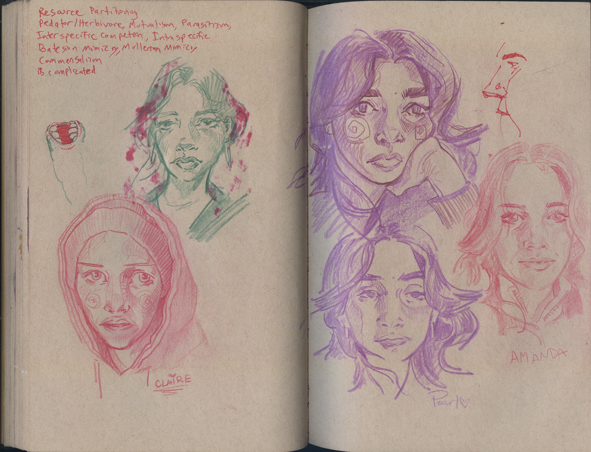 got amandas likeness really well