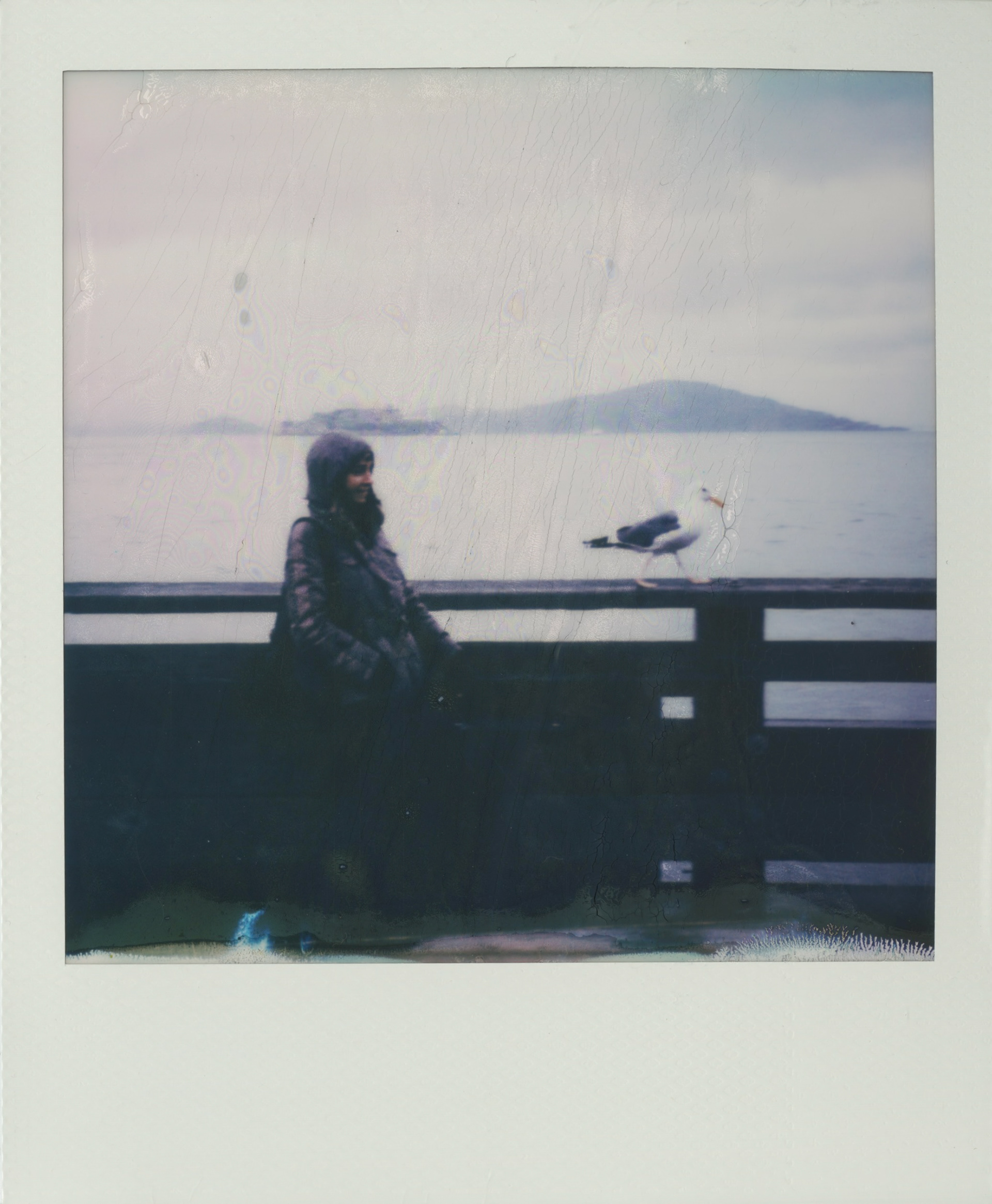 so sad this got water damage. we were connecting this seagull all of our good vibes. i think he liked us