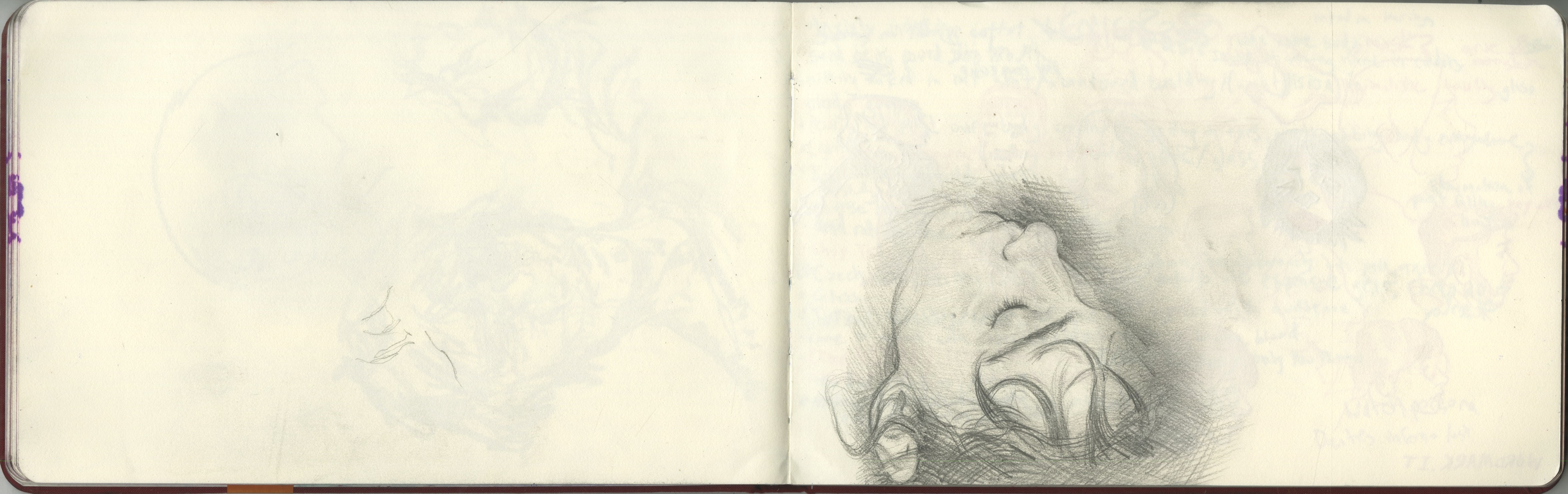 drew the impossibly beautiful goddess tea while she slept