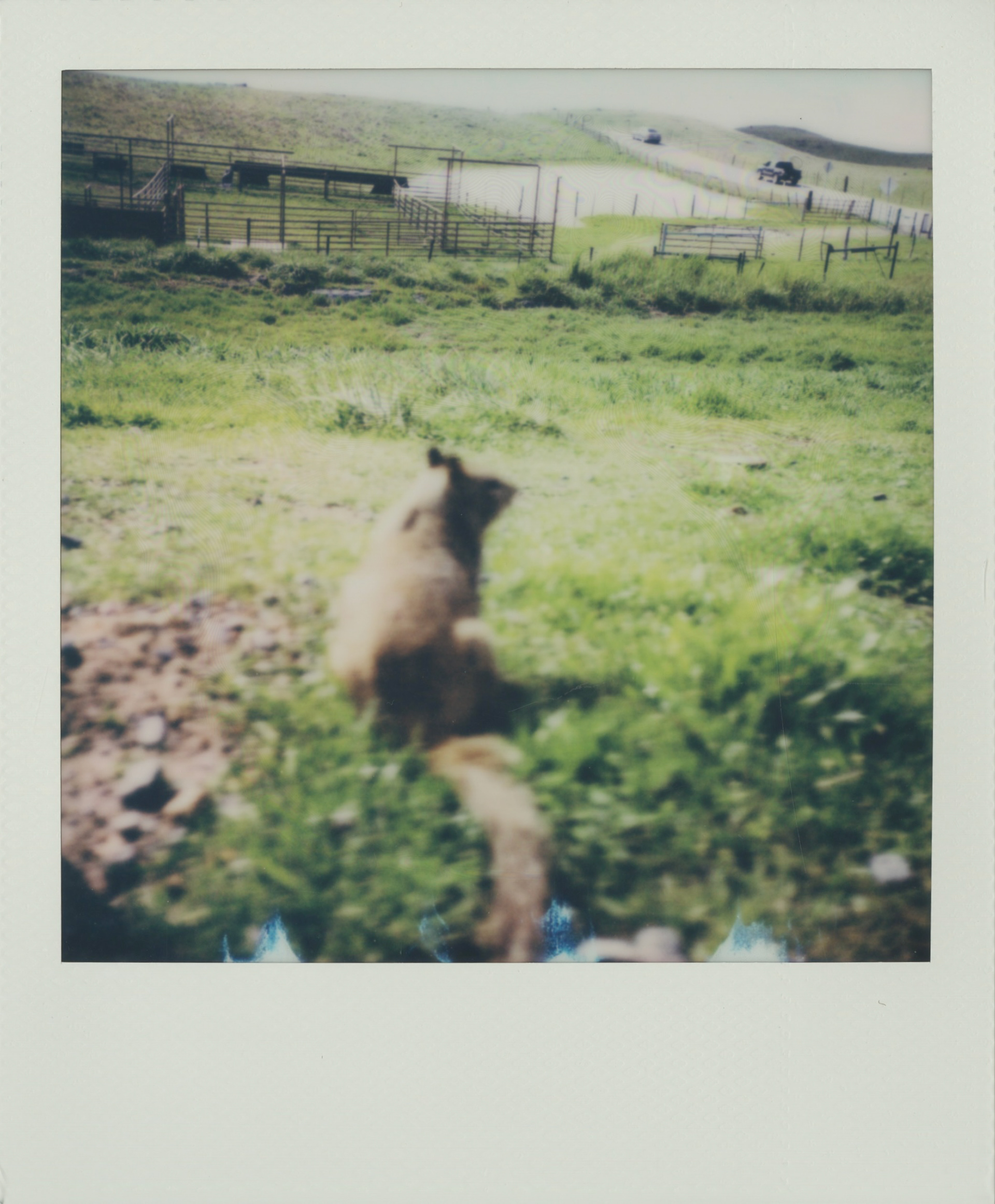 this did not come out well, but wtv