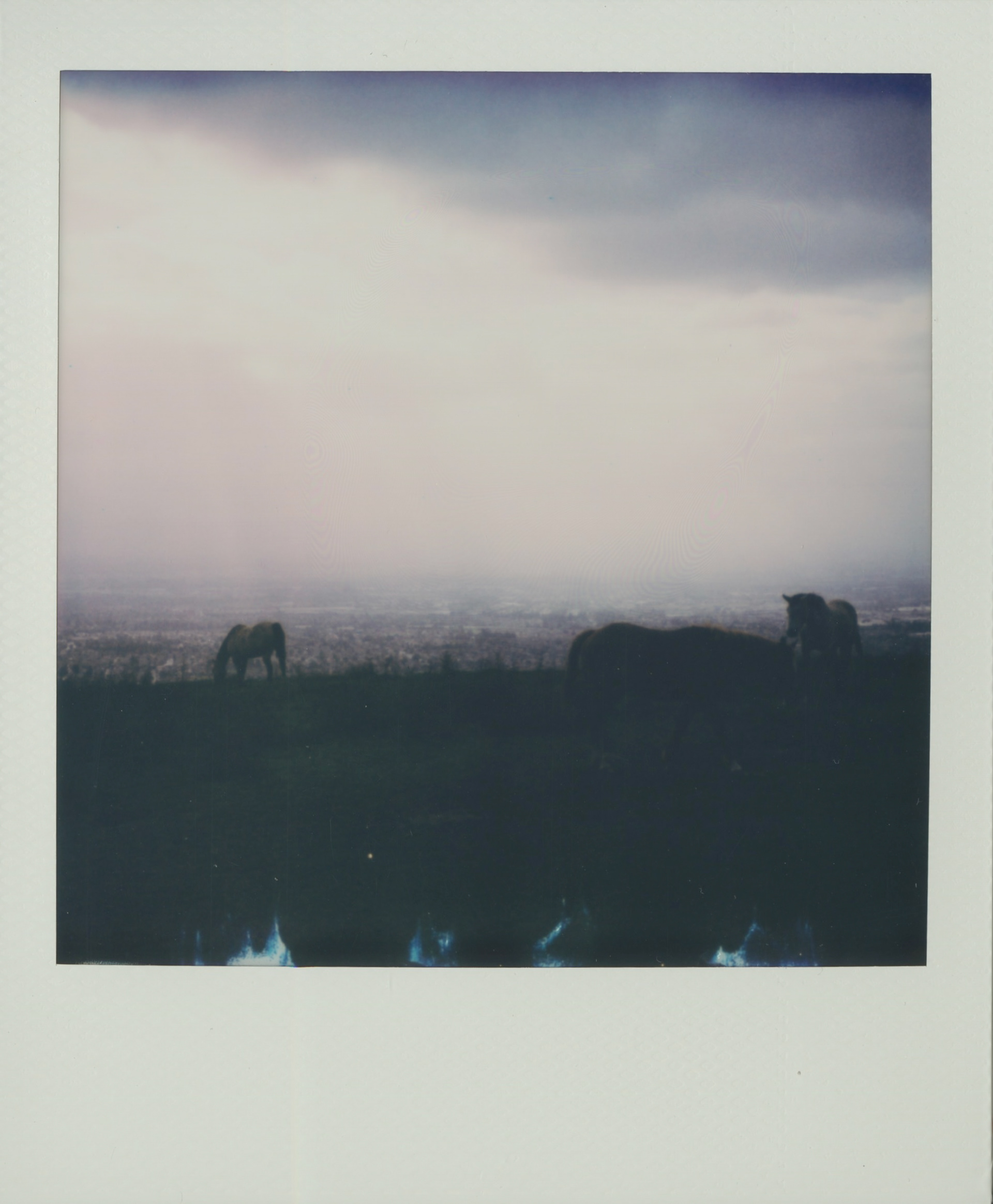 this picture just happened to perfectly fit next to the left polaroid. so happy they look beautiful together.