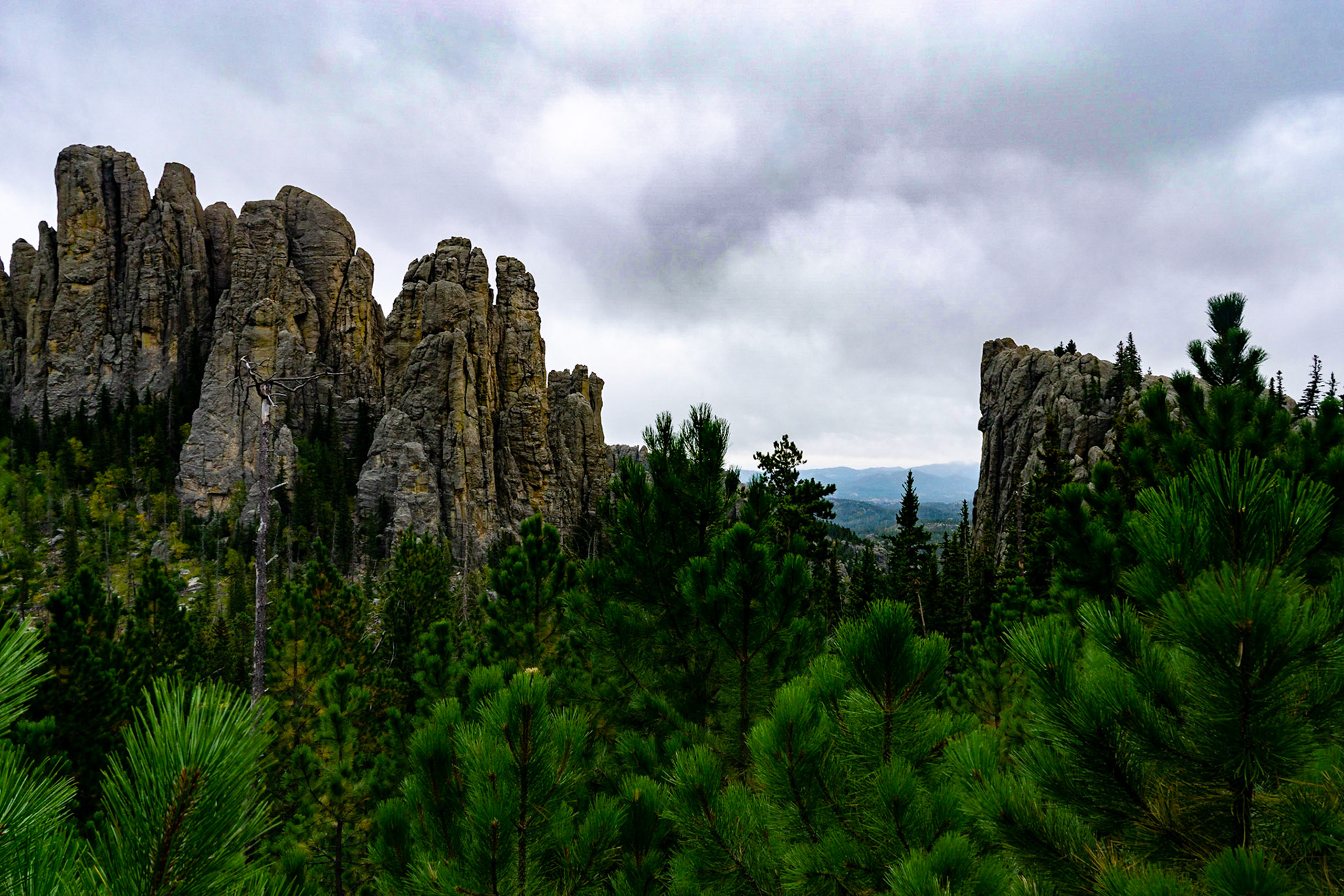 Custer State Park - Cathedral Spires