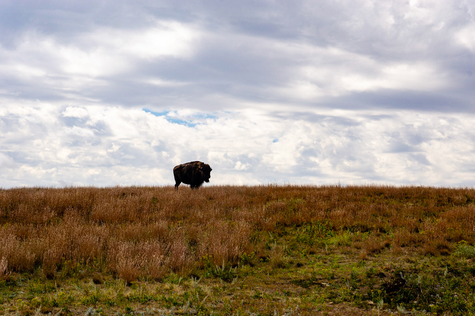Wind Cave - Lookout Point and Centennial Trail