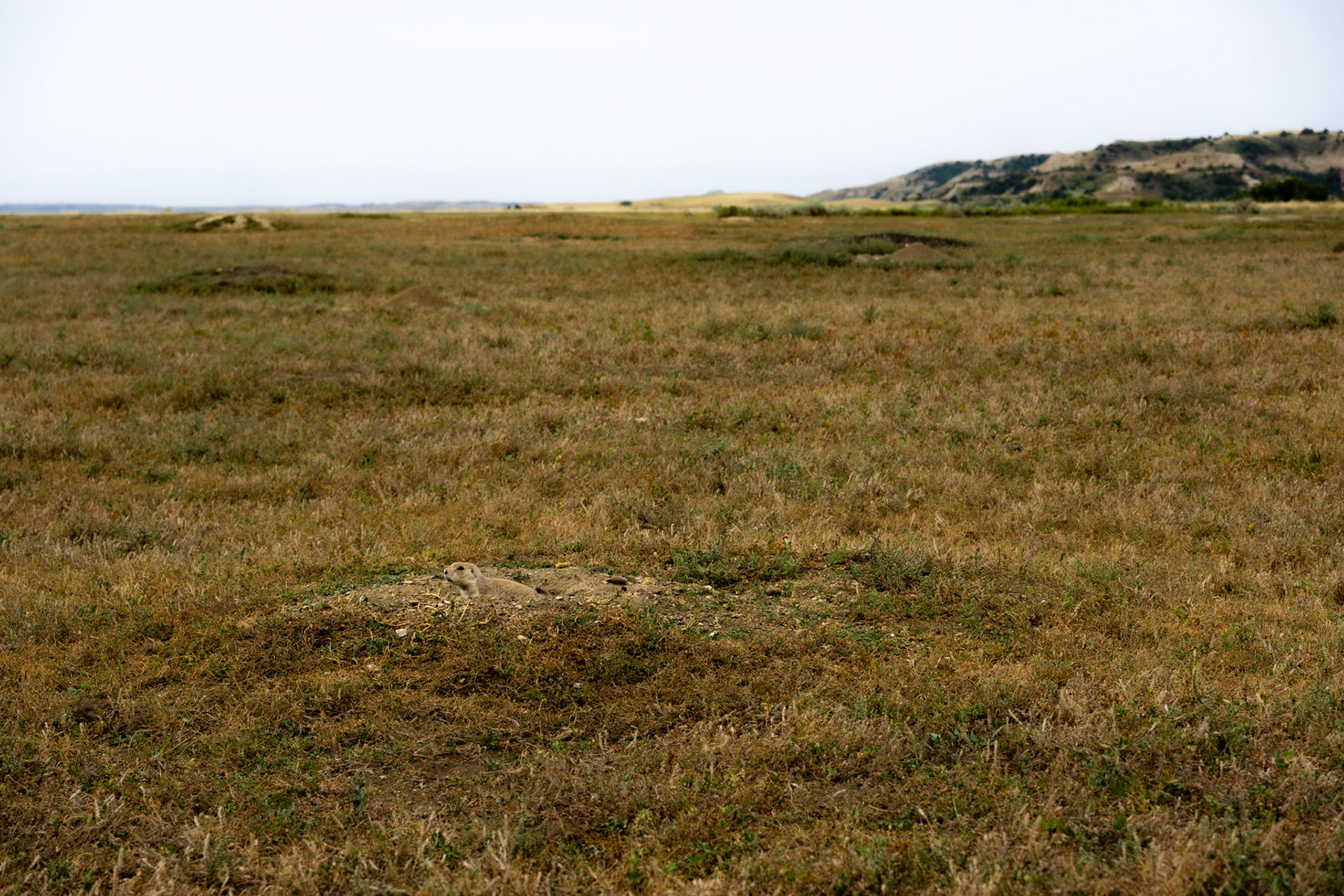 Theodore Roosevelt National Park - The Big Plateau and Ekblom Trail