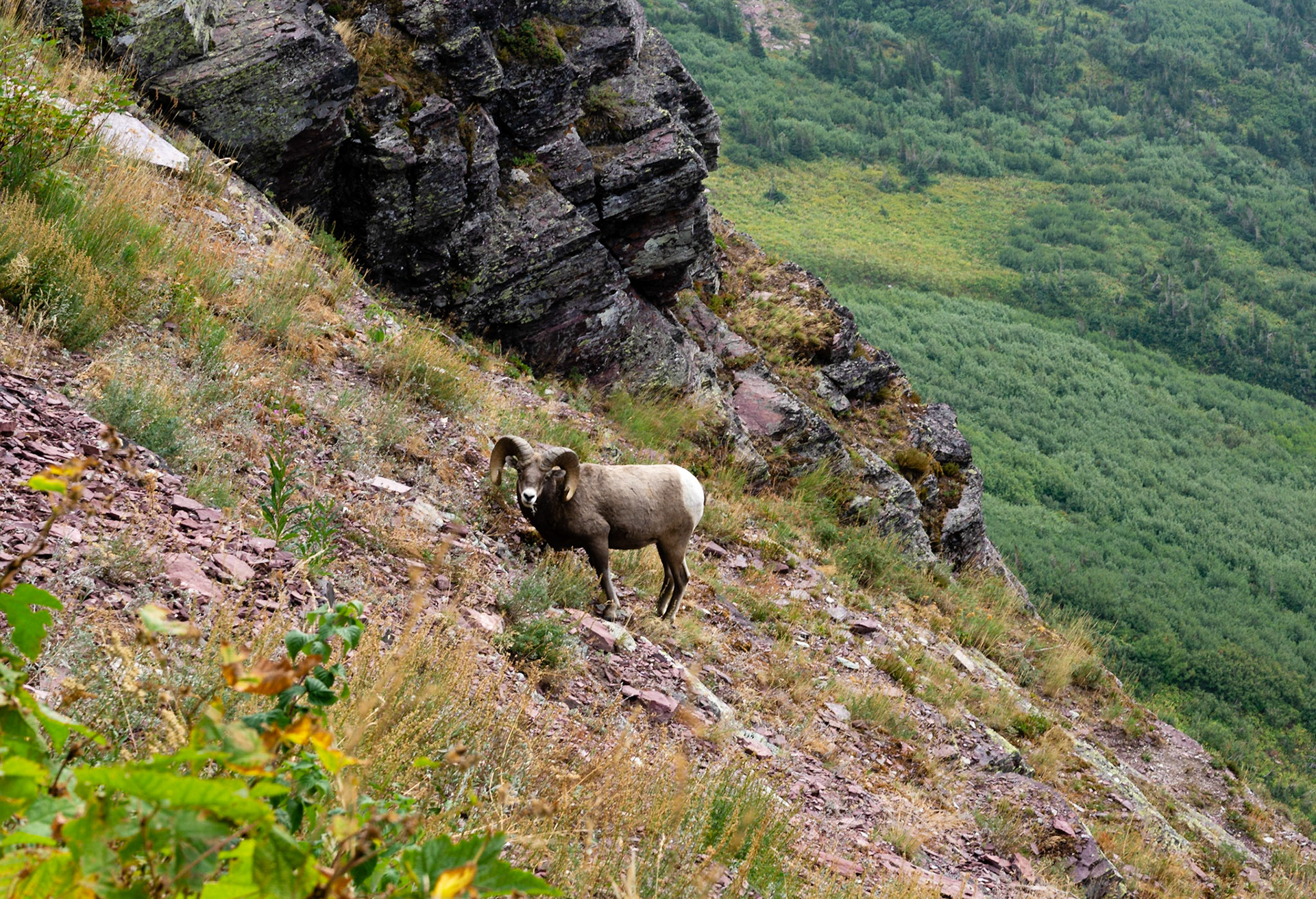 Glacier National Park - Grinnell Glacier