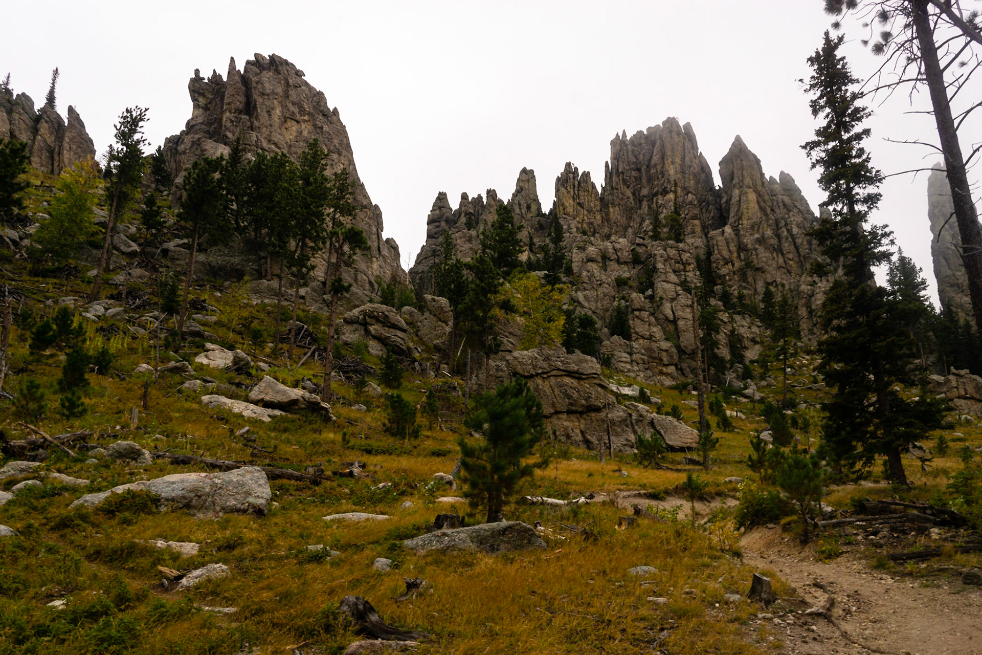 Custer State Park - Cathedral Spires