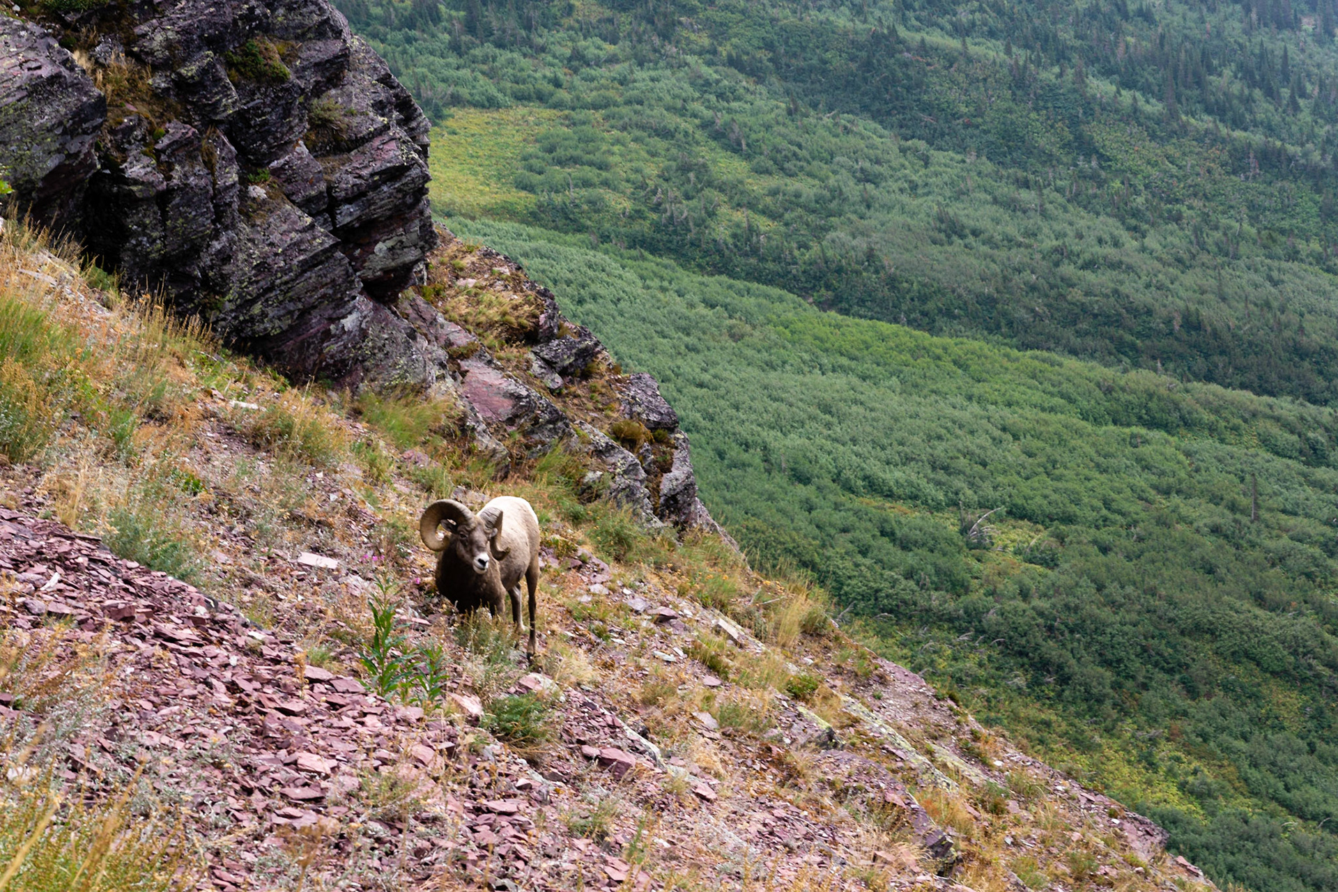 Glacier National Park - Grinnell Glacier