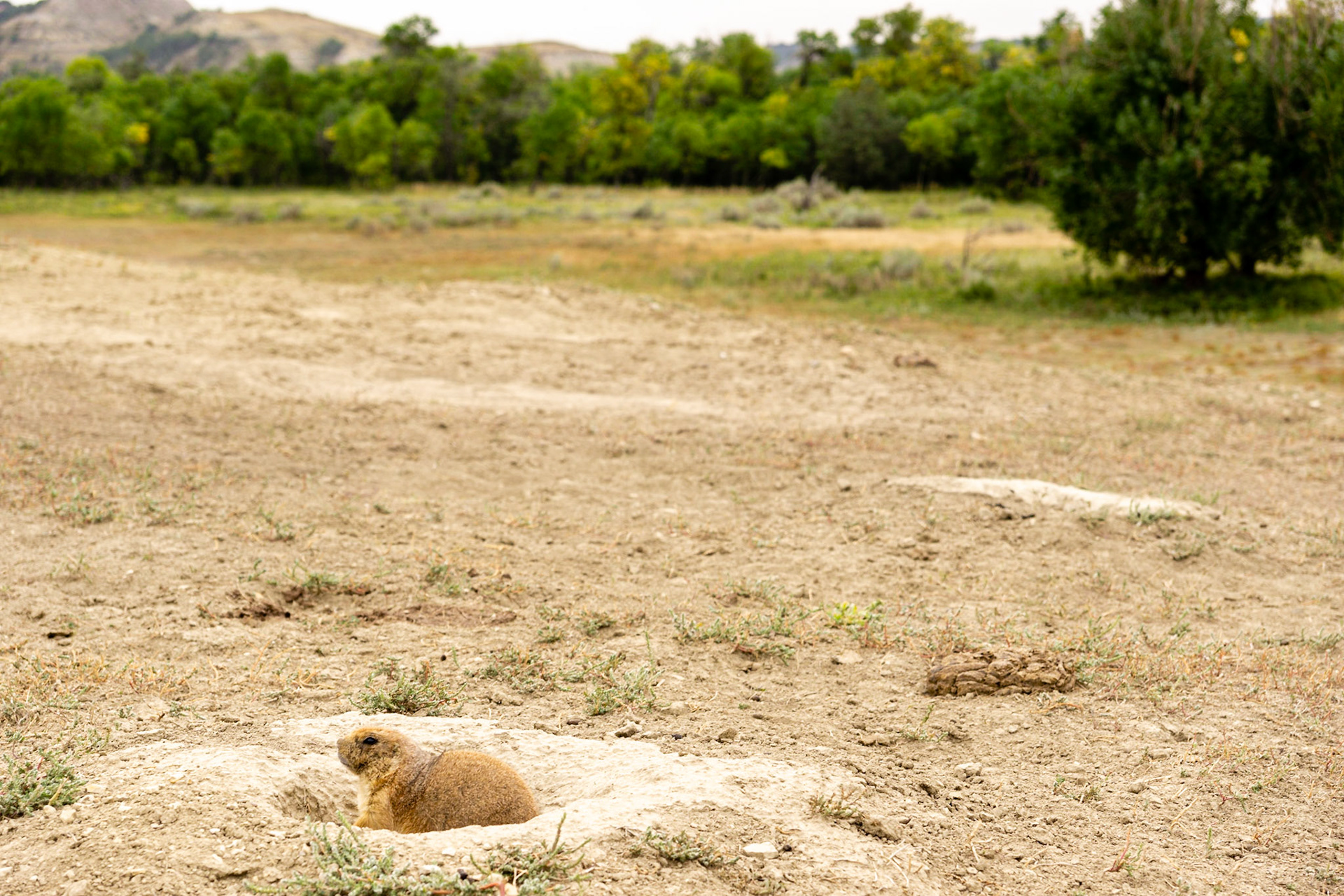 Theodore Roosevelt National Park - The Big Plateau and Ekblom Trail