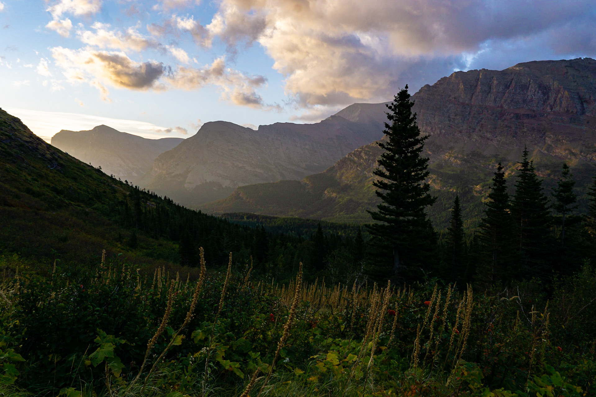 Glacier National Park - Ptarmigan Lake Trail