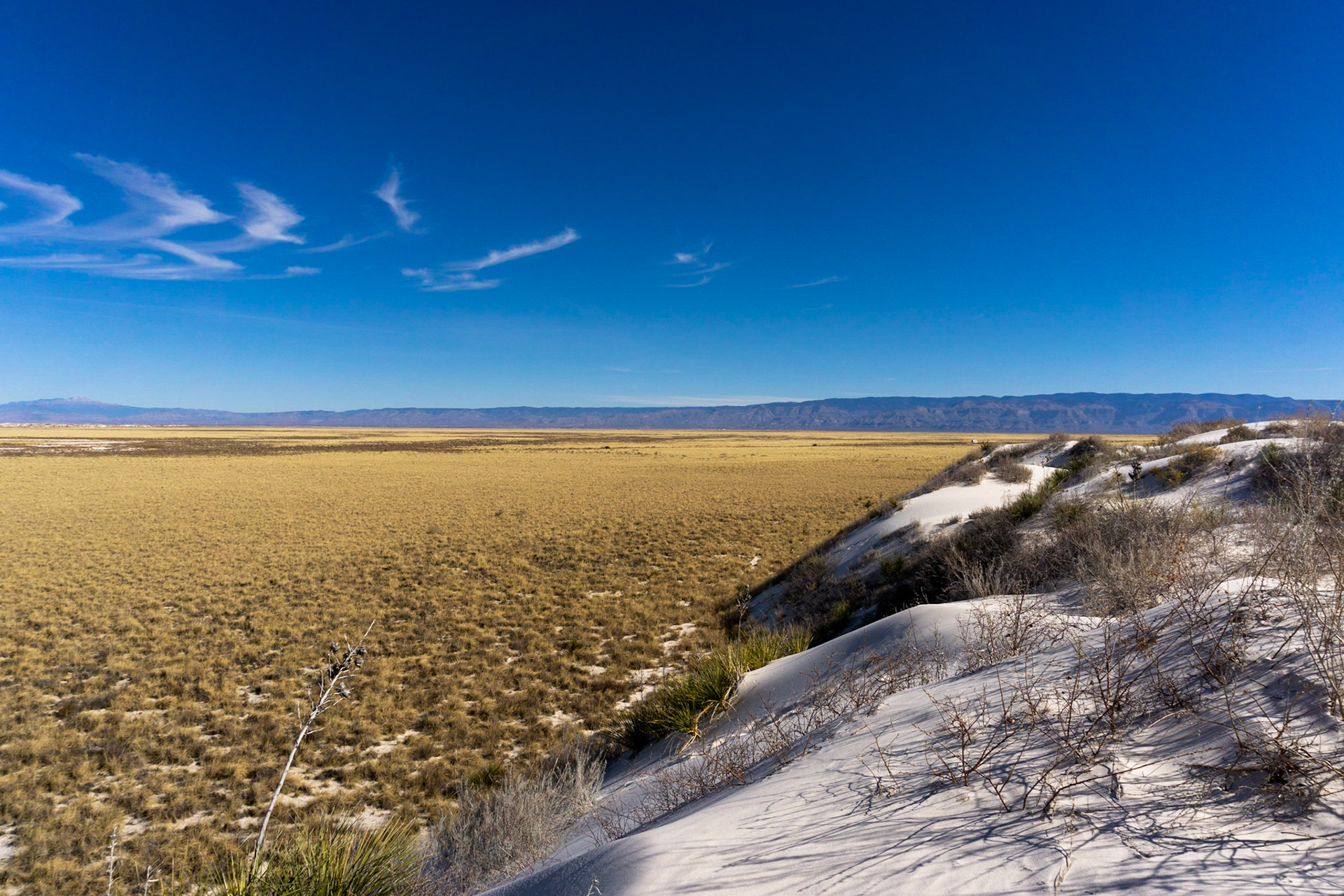 White Sands - Dune Life Nature Trail