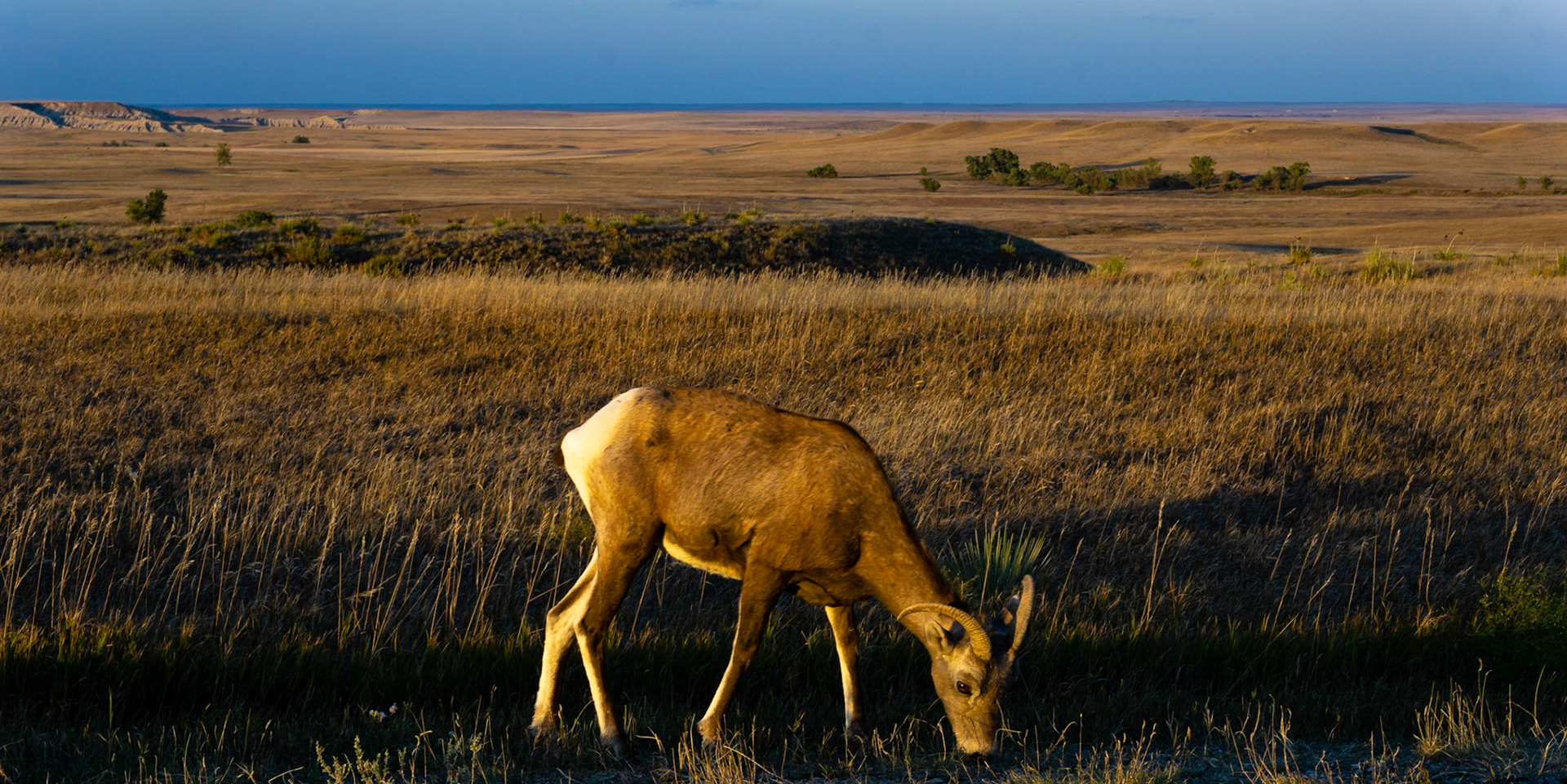 Badlands Loop Road